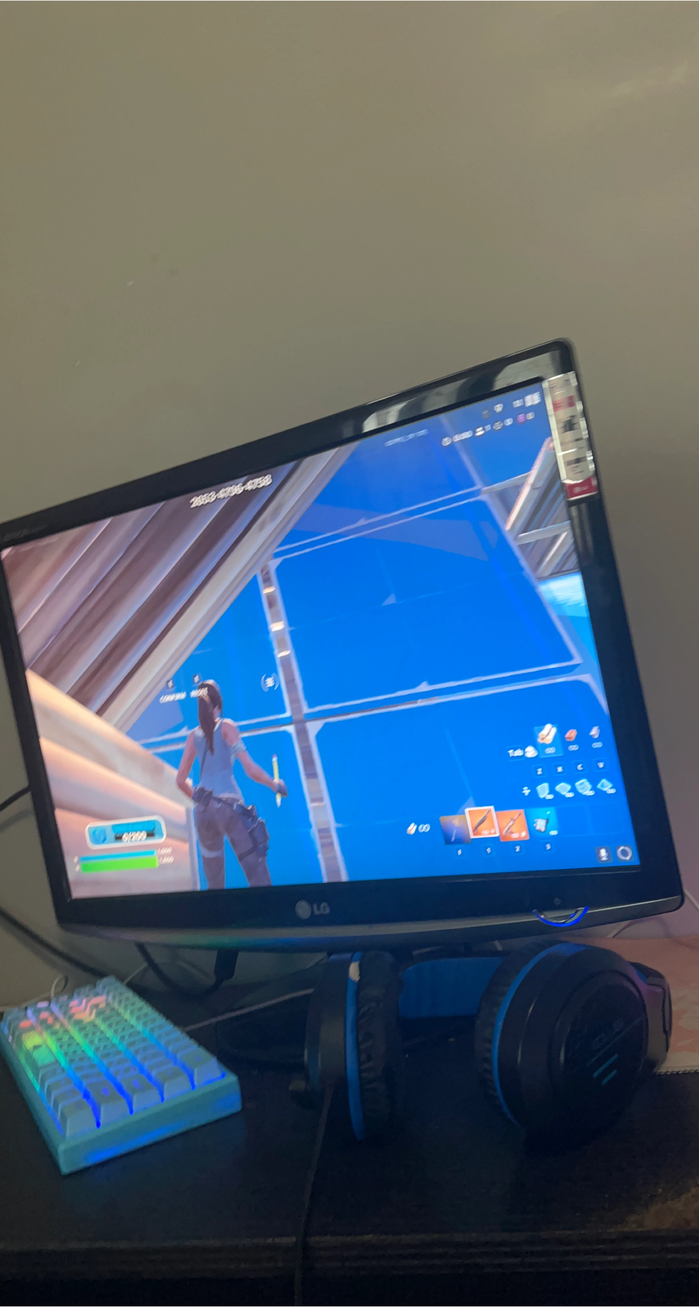 LG Monitor