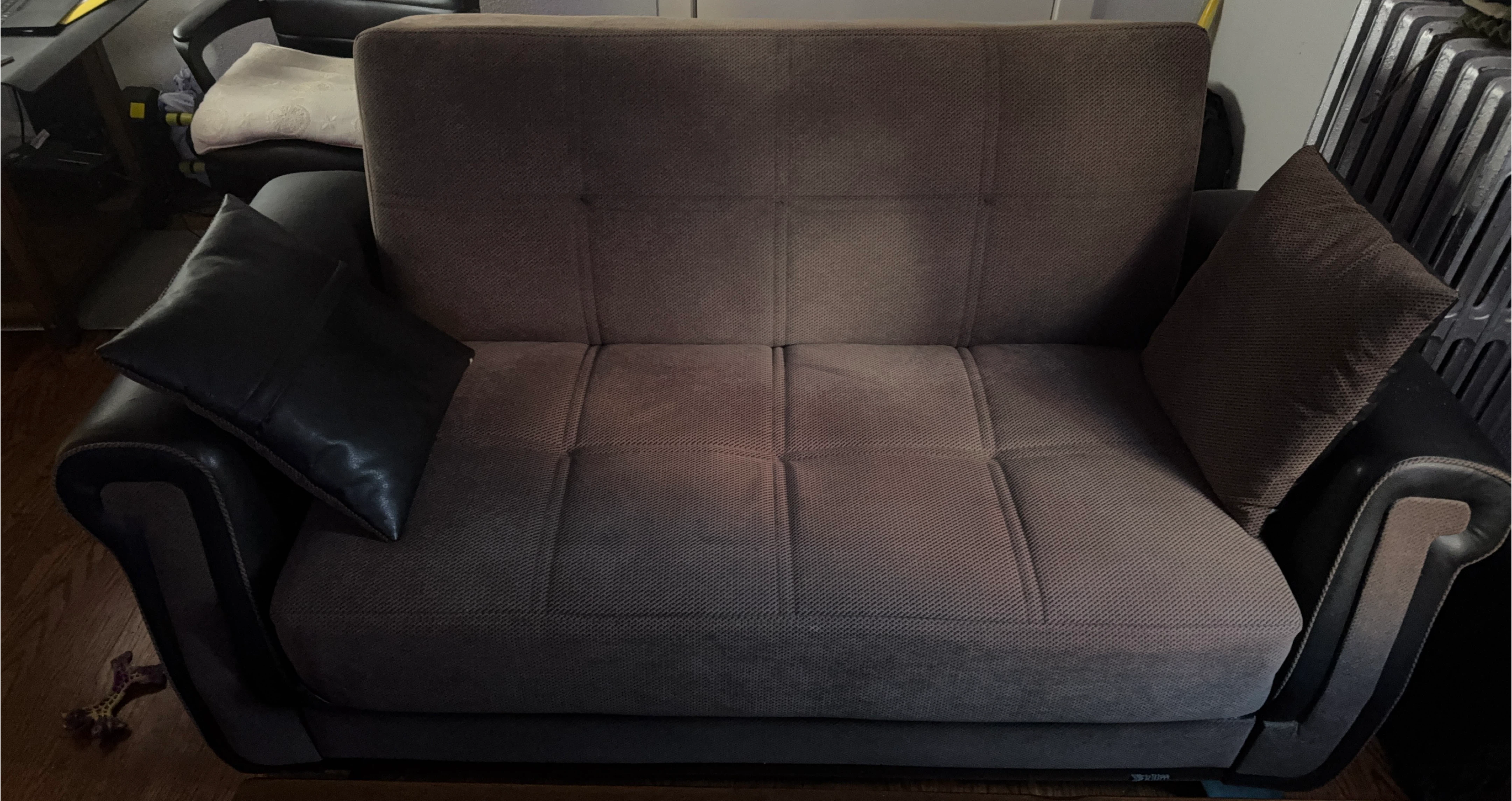 Loveseat Sleeper Sofa with Storage