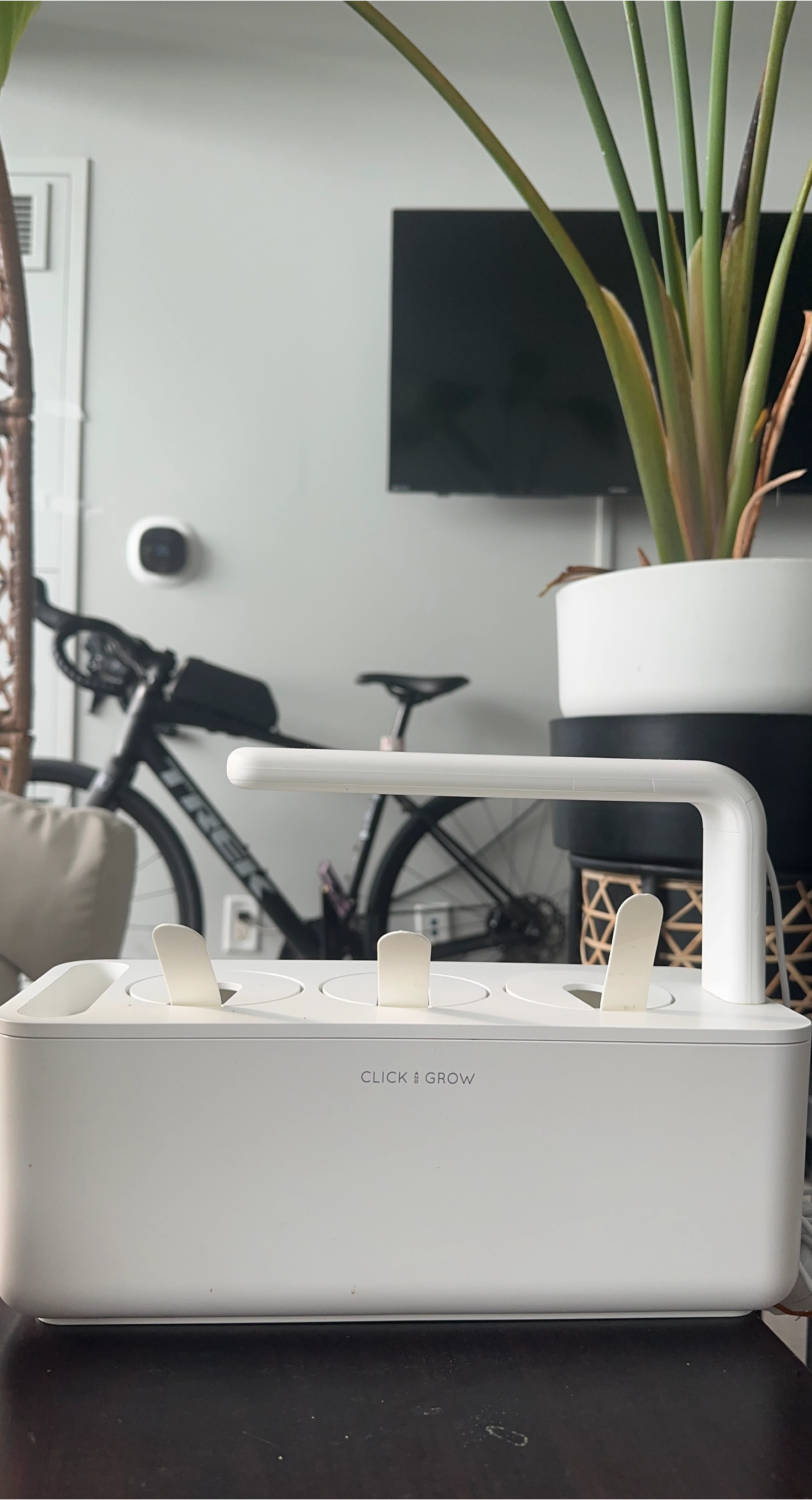 Click & Grow Indoor Garden