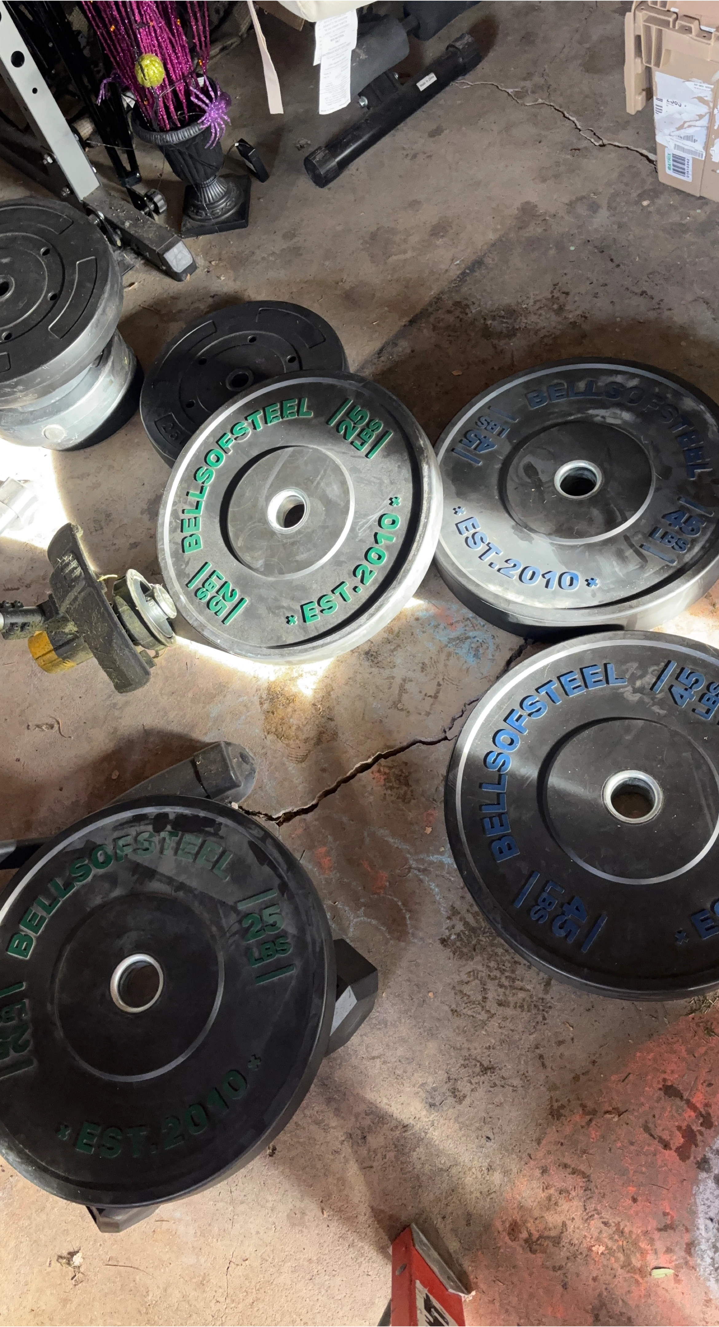 Bells of Steel Weight Plates - 25 & 45 lbs