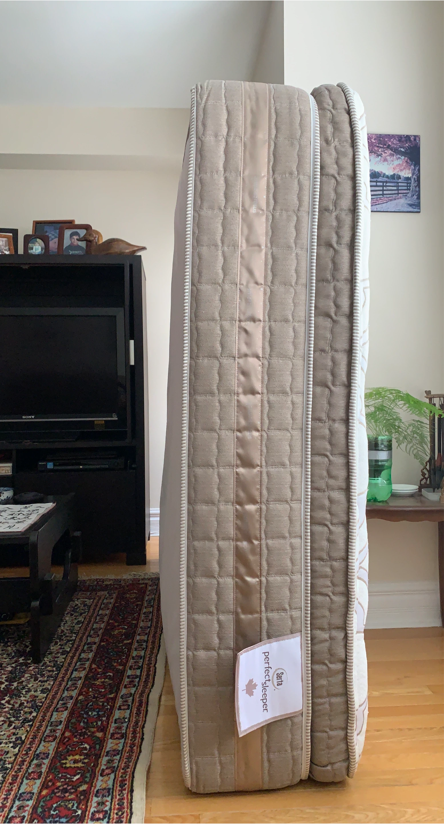Serta Perfect Sleeper Mattress