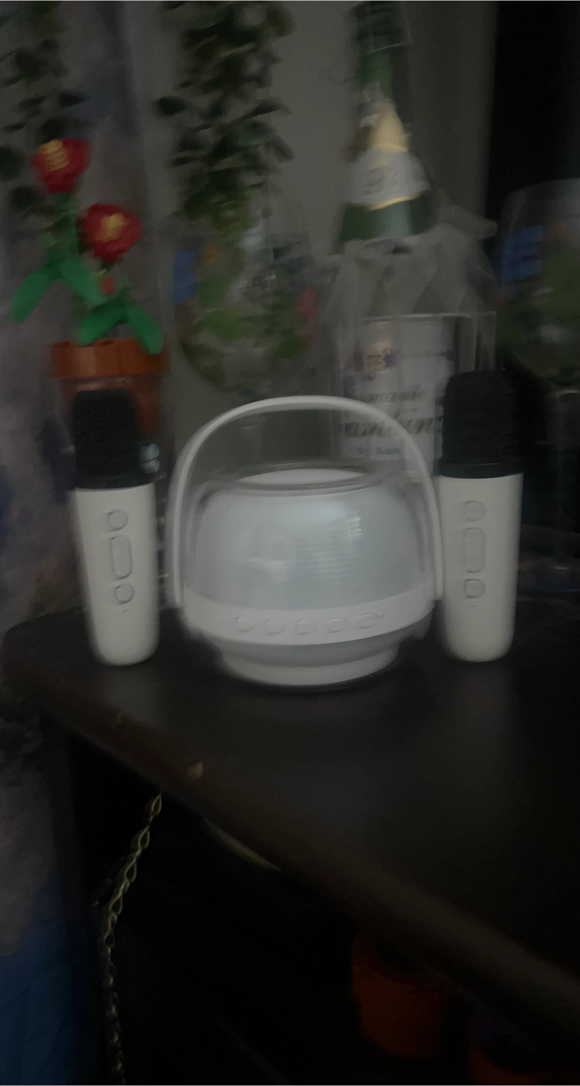 Portable Karaoke Machine with 2 Microphones