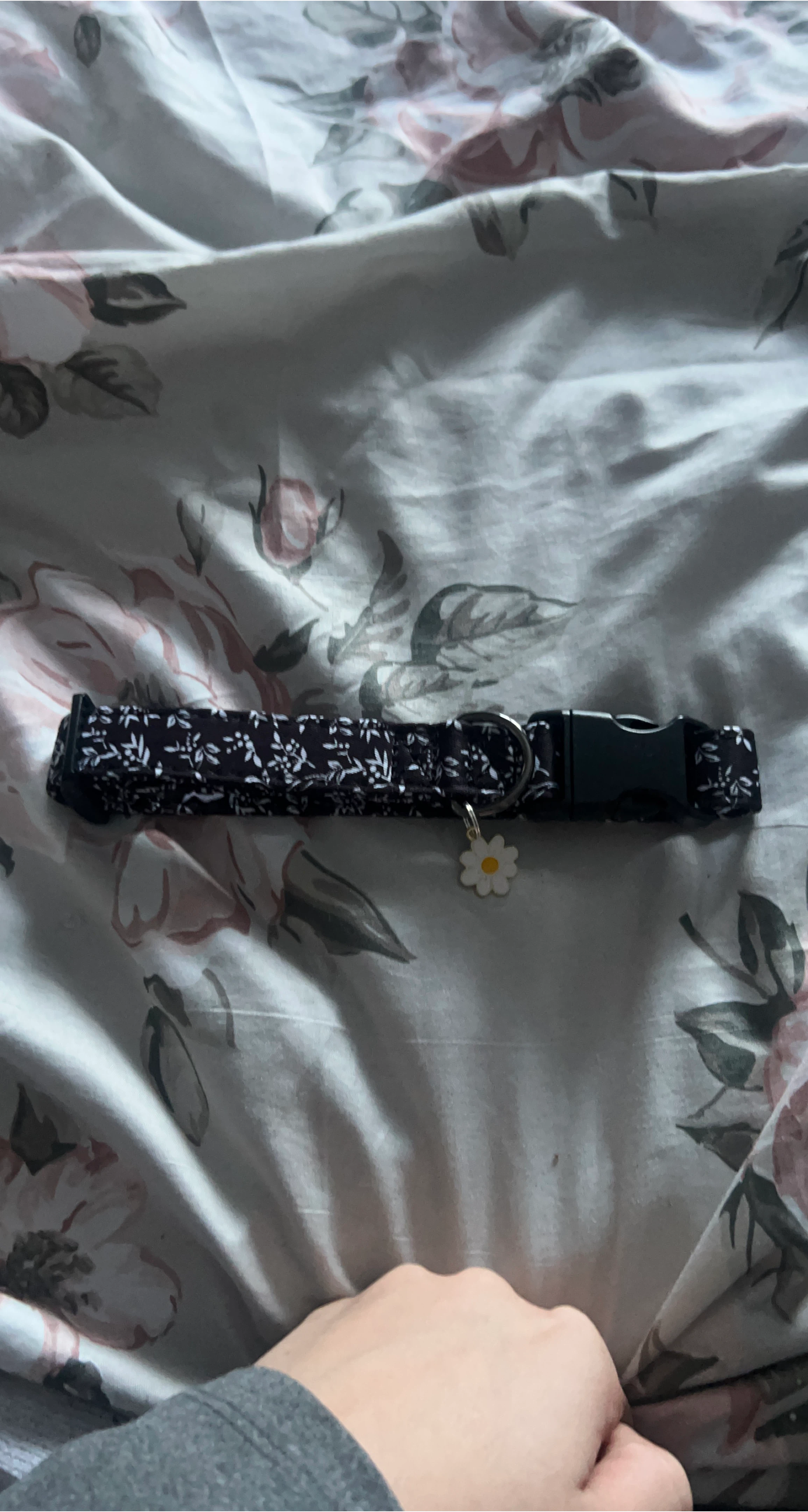 Floral Dog Collar with Daisy Charm thumbnail