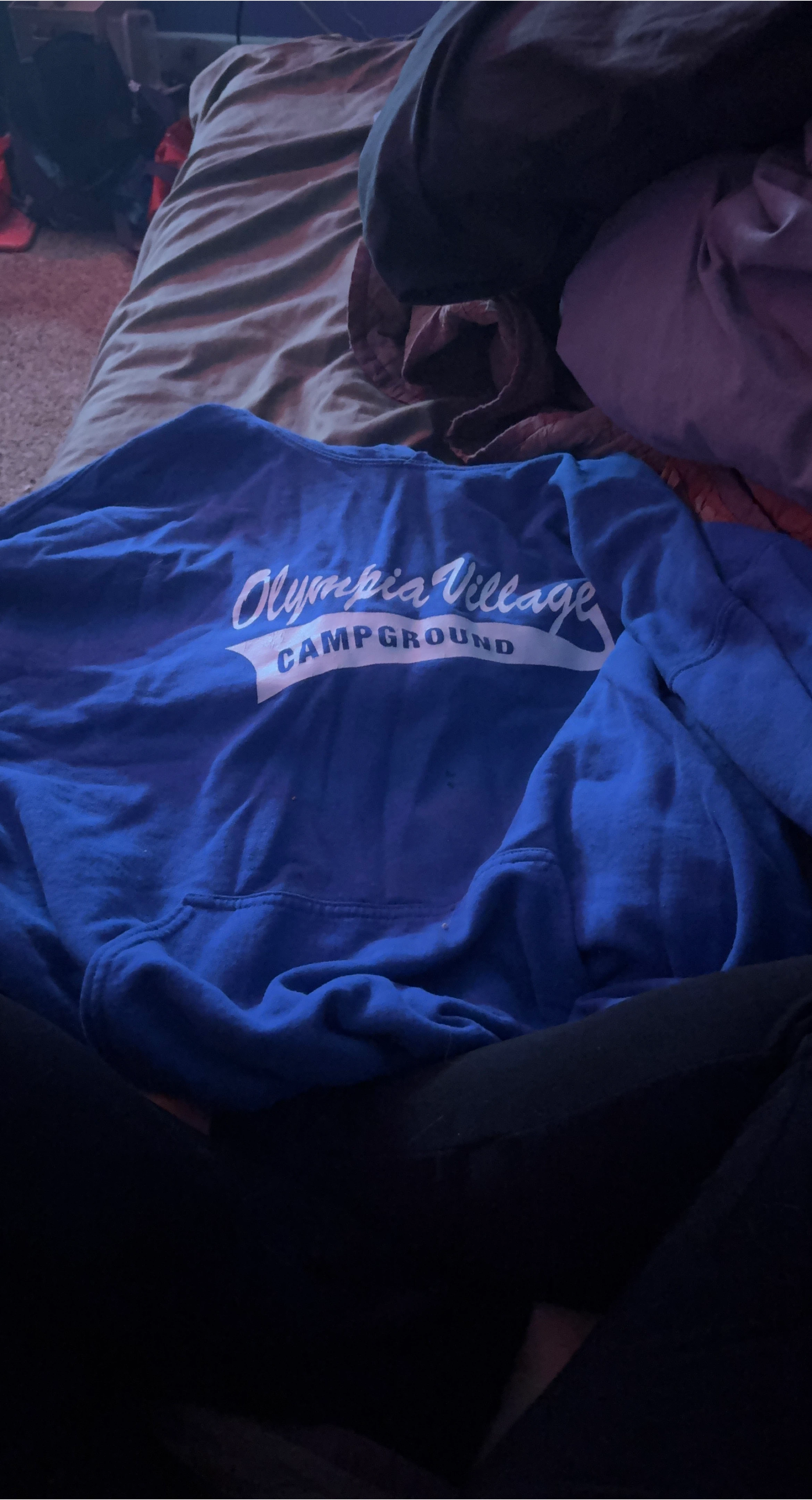 Olympia Village Campground Blue Hoodie