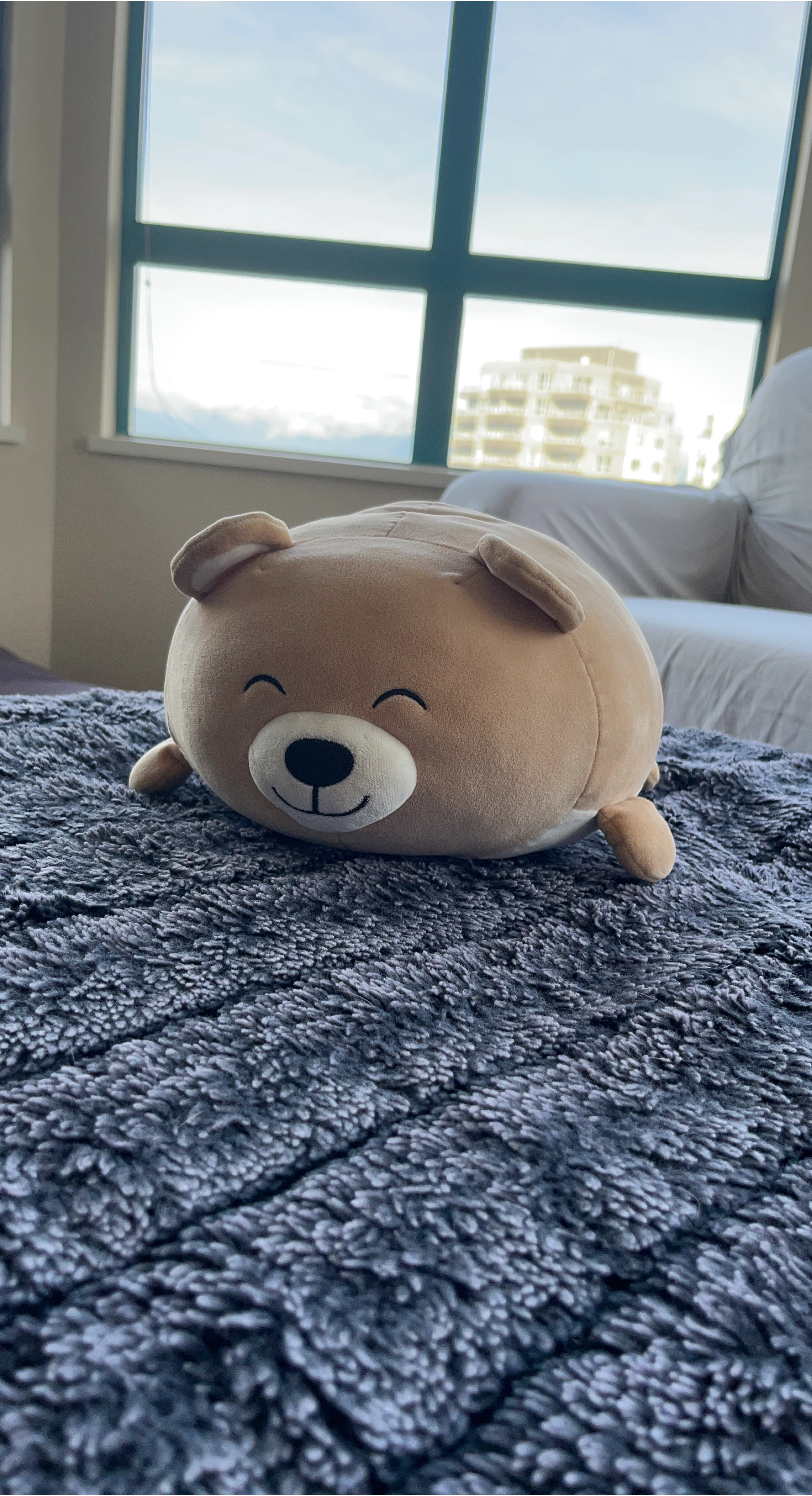 Cute Round Plush Bear