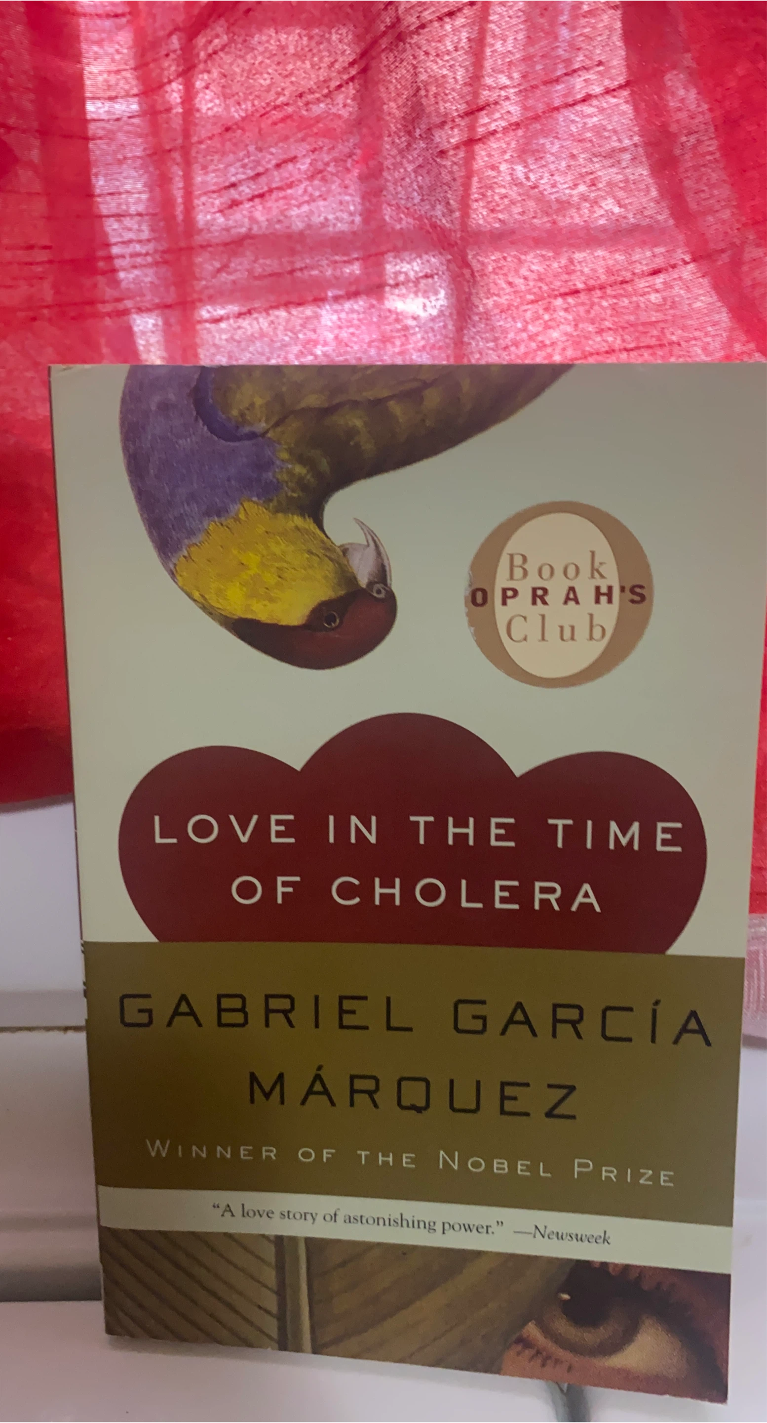 Love in the Time of Cholera by Gabriel García Márquez thumbnail