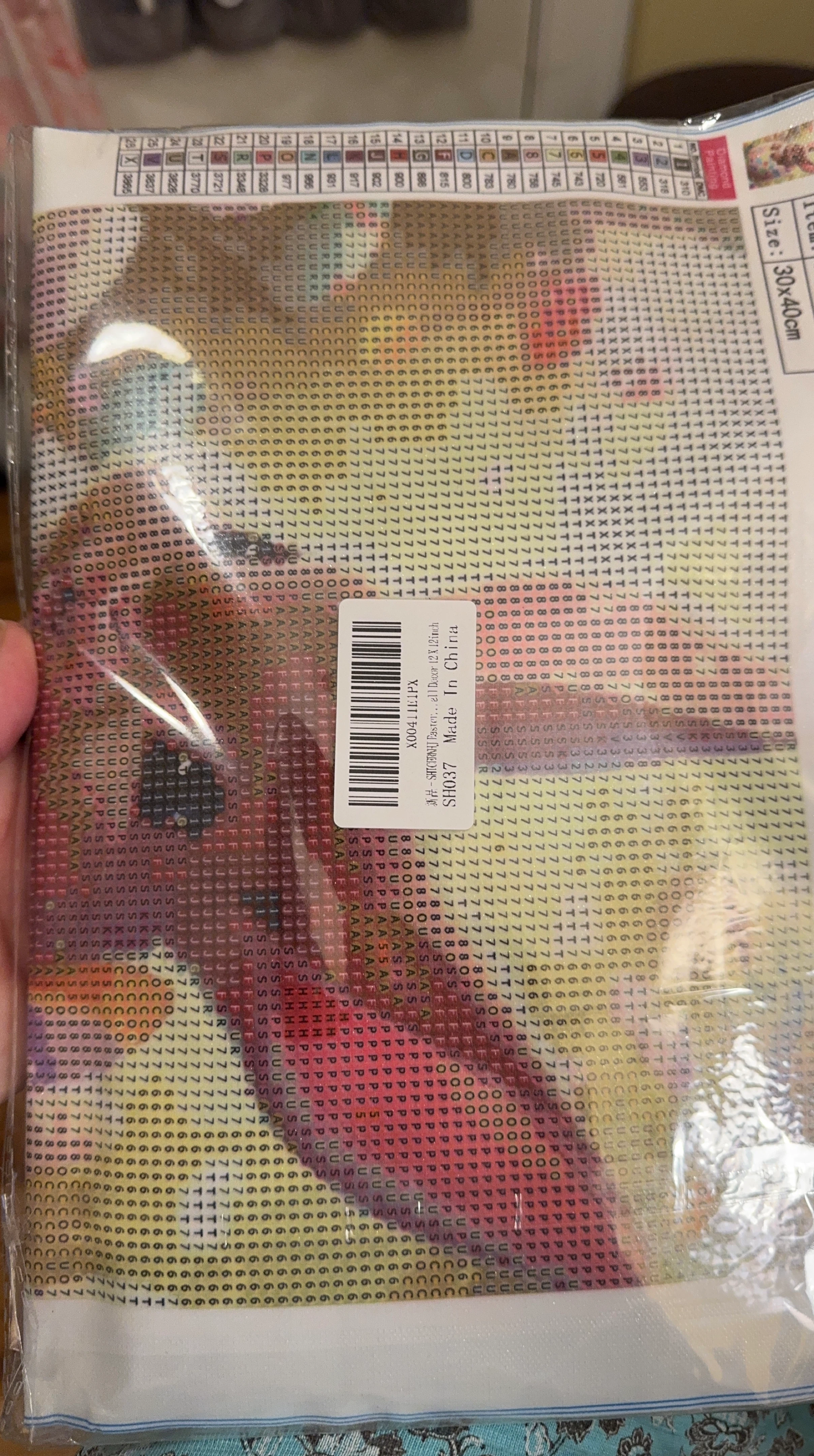 Diamond Painting Kit 30x40cm