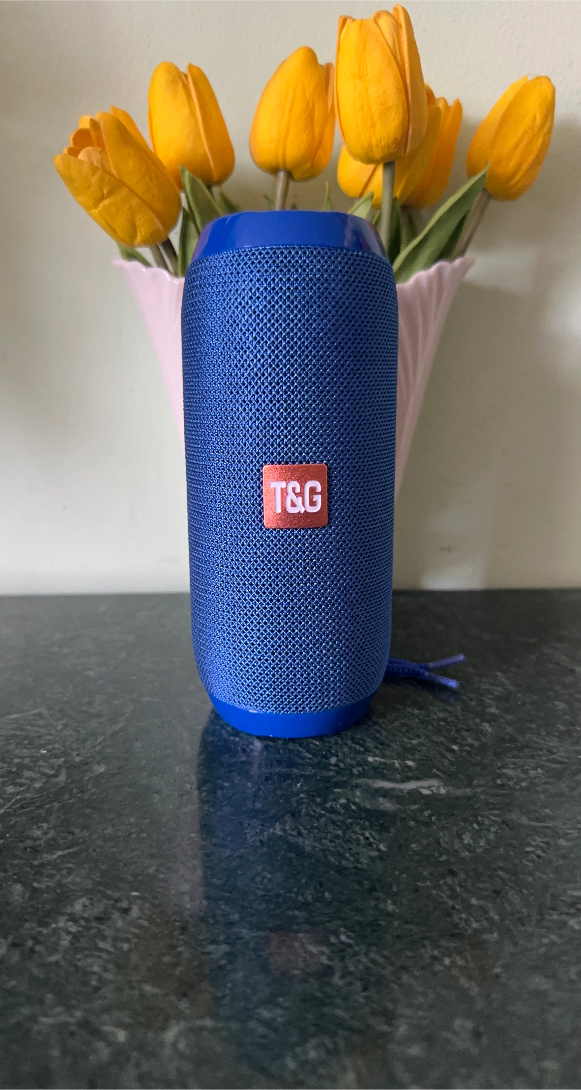 T&G Portable Bluetooth Speaker - Blue