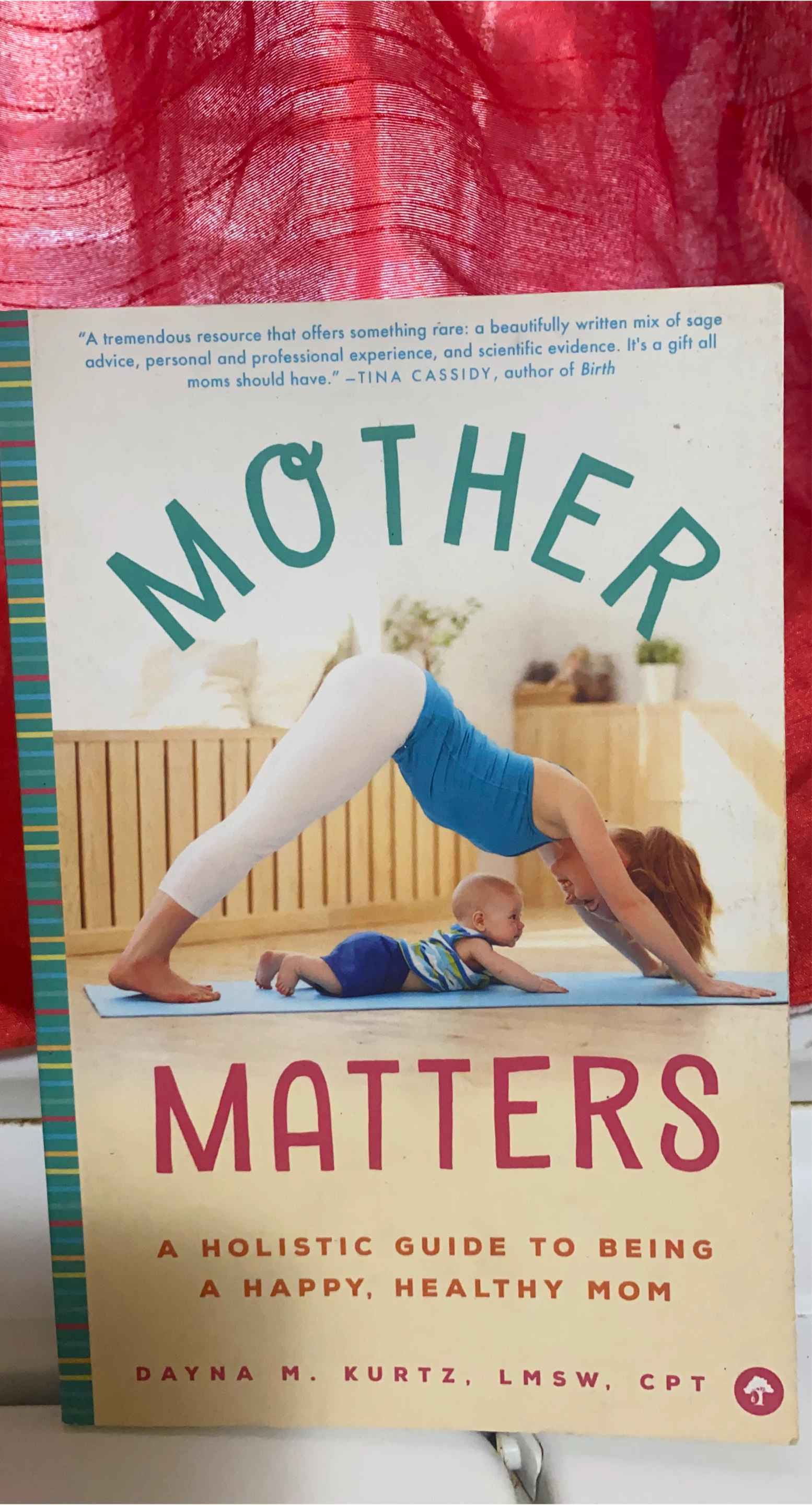 Mother Matters: A Holistic Guide Book thumbnail