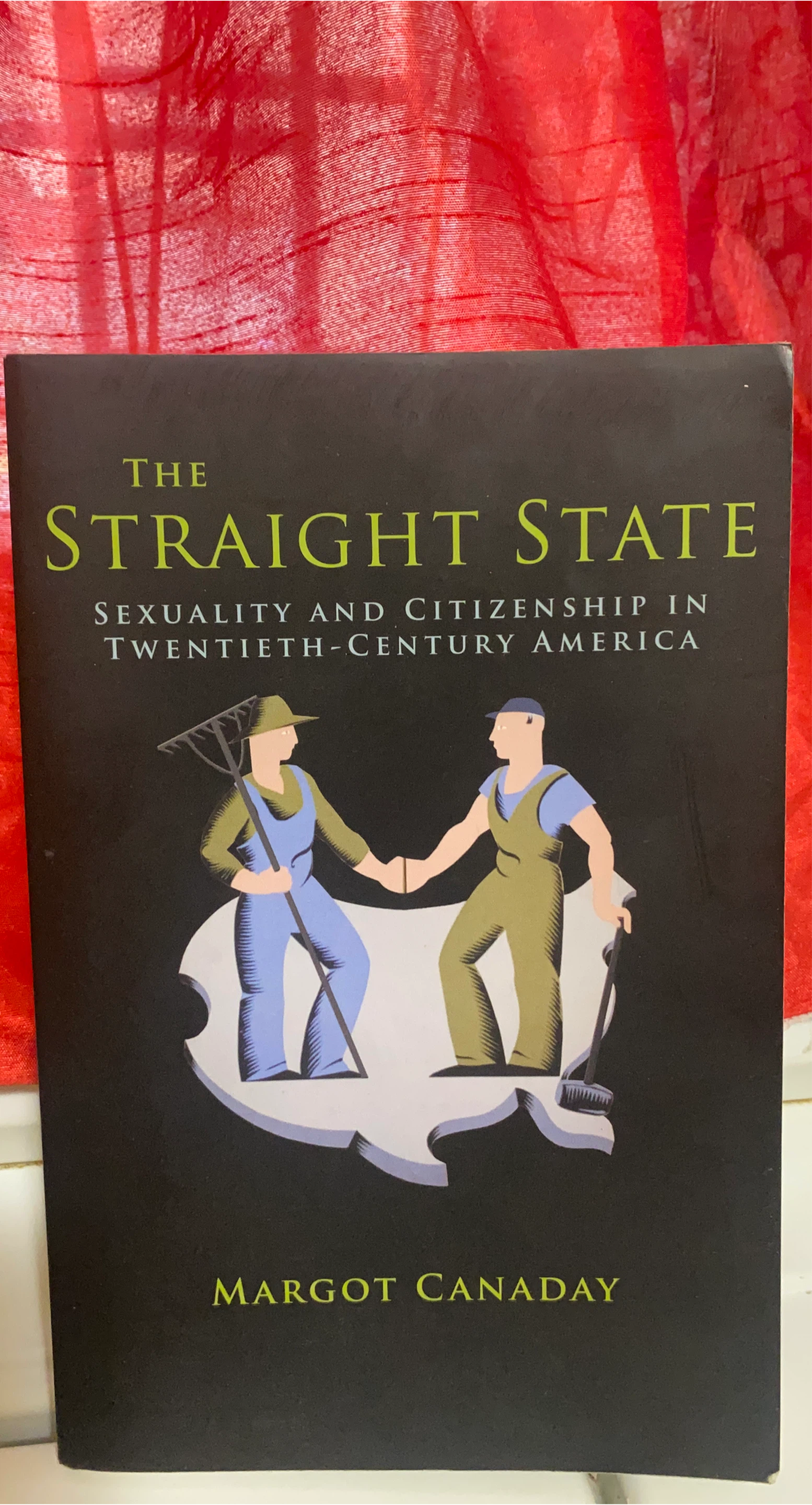 The Straight State by Margot Canaday thumbnail