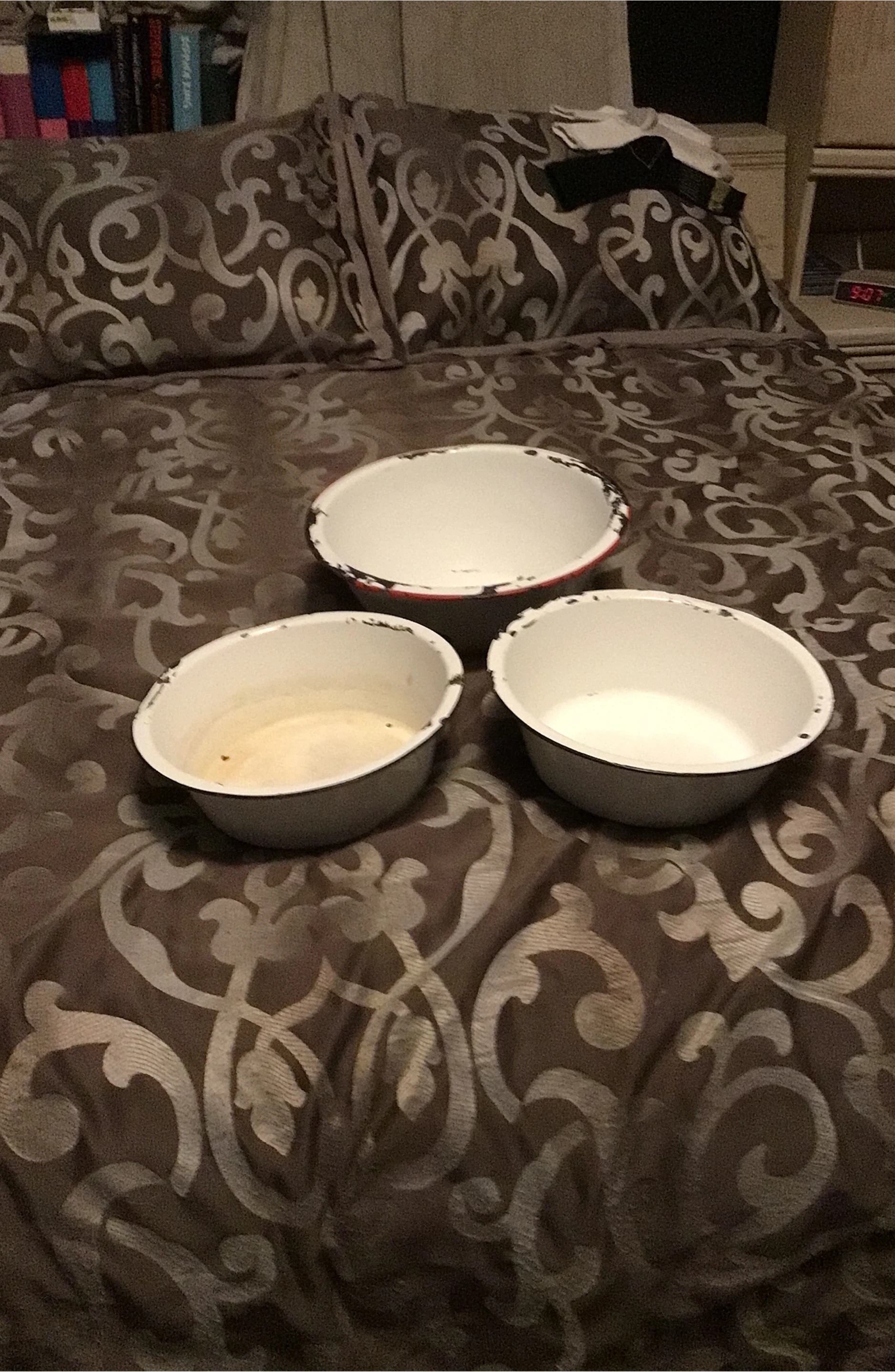Enamelware Bowls - Set of 3