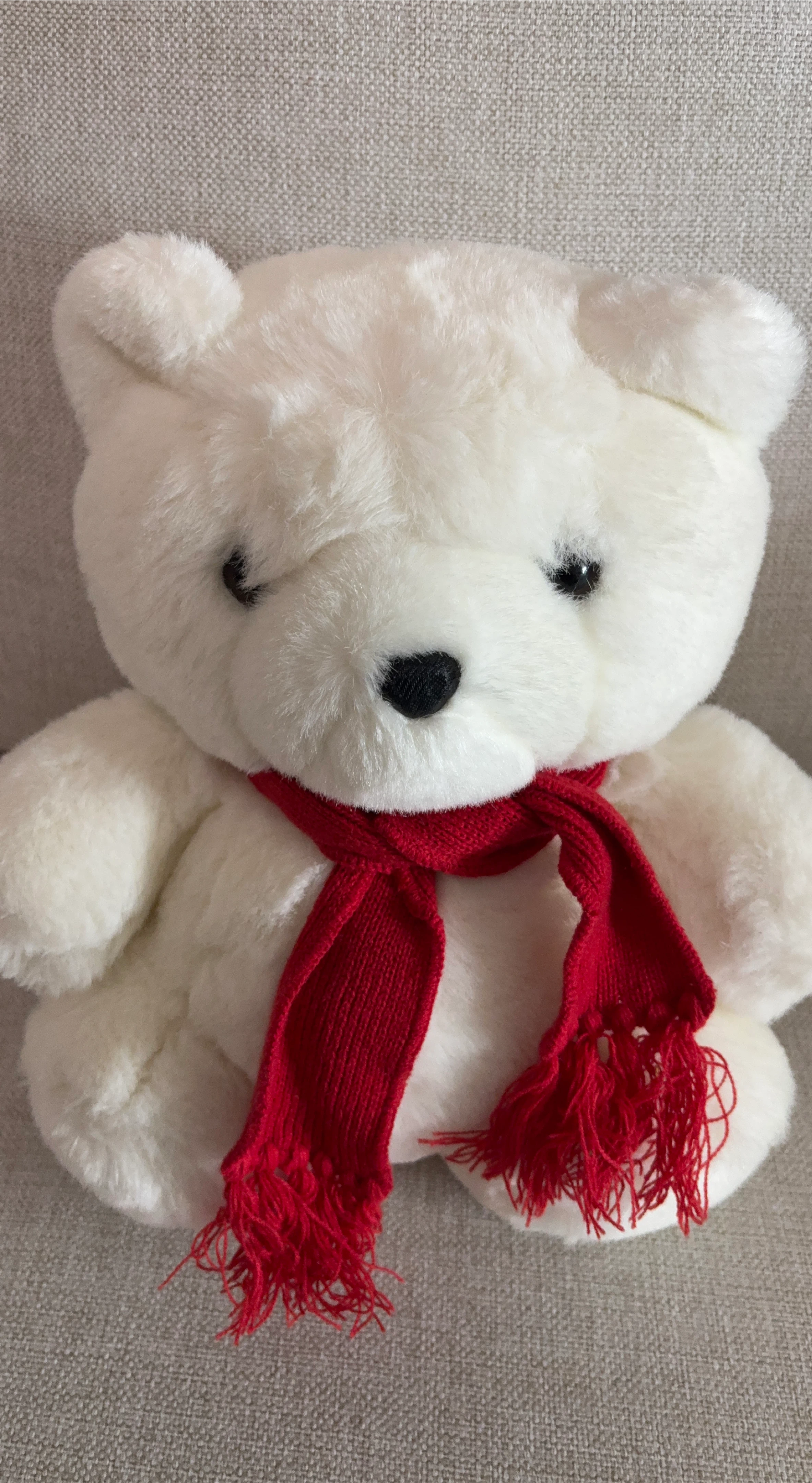 Cute White Teddy Bear with Red Scarf
