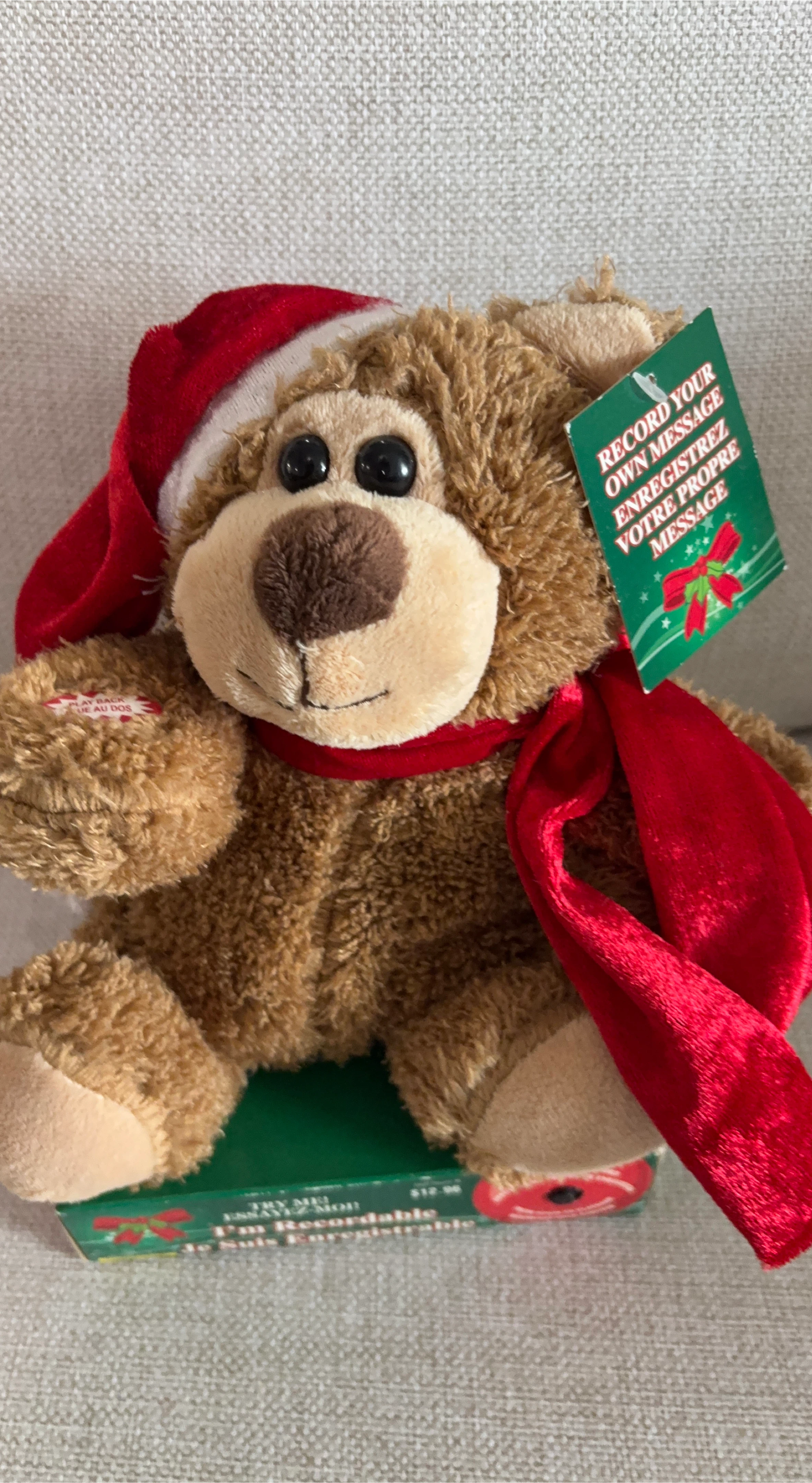 Recordable Christmas Teddy Bear