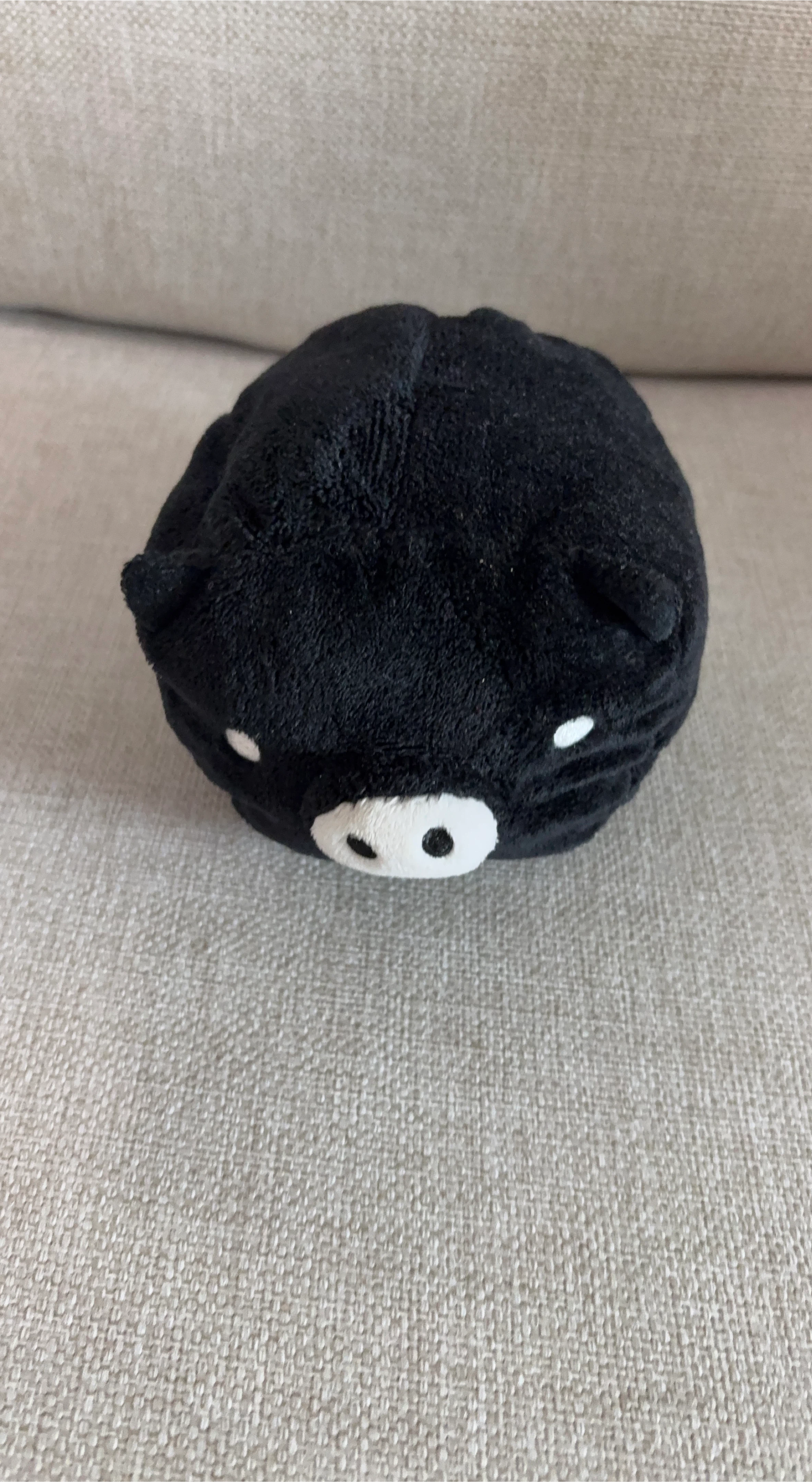 Black Cat Plush