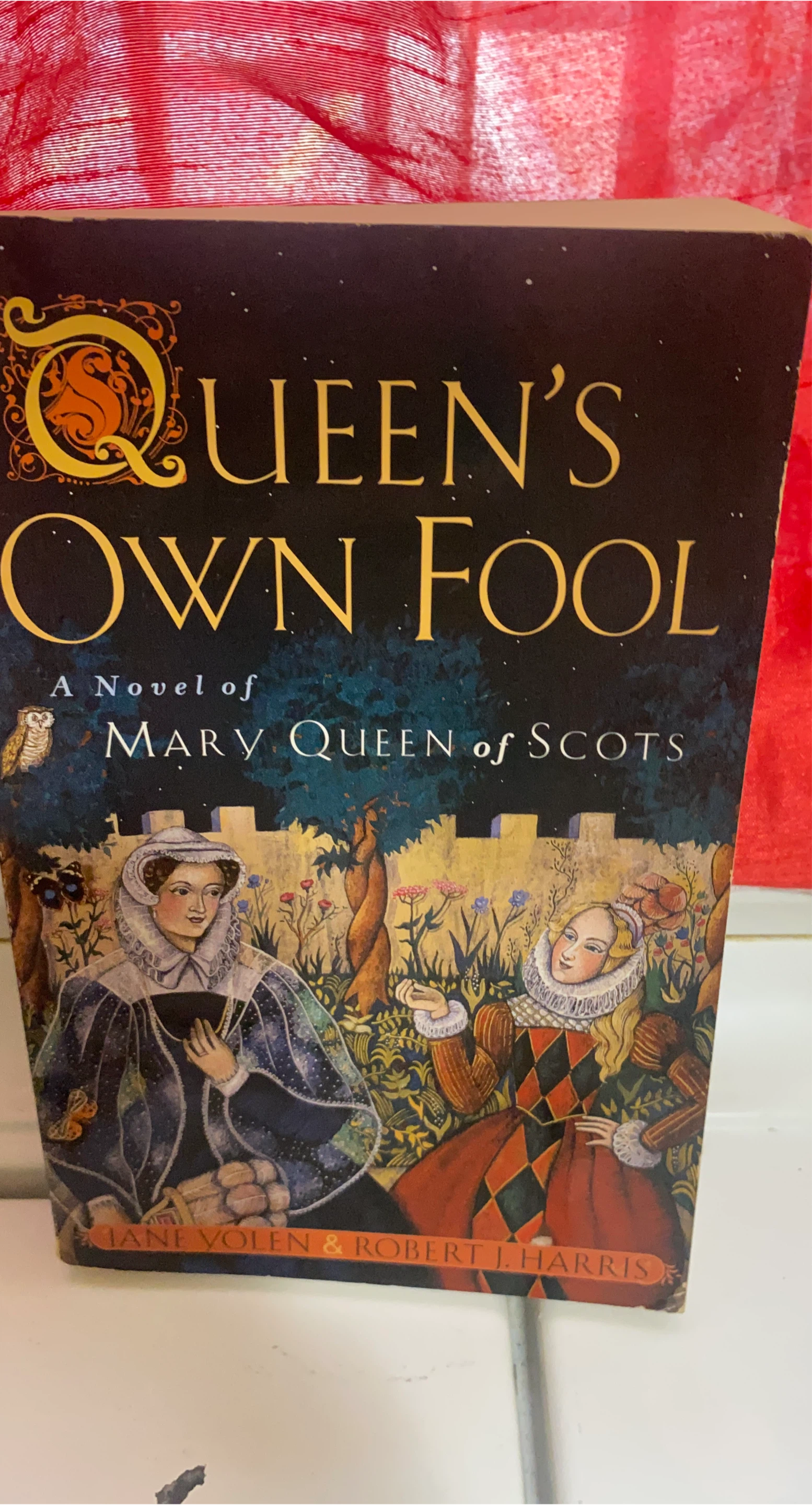 Queen's Own Fool: A Novel of Mary Queen of Scots thumbnail