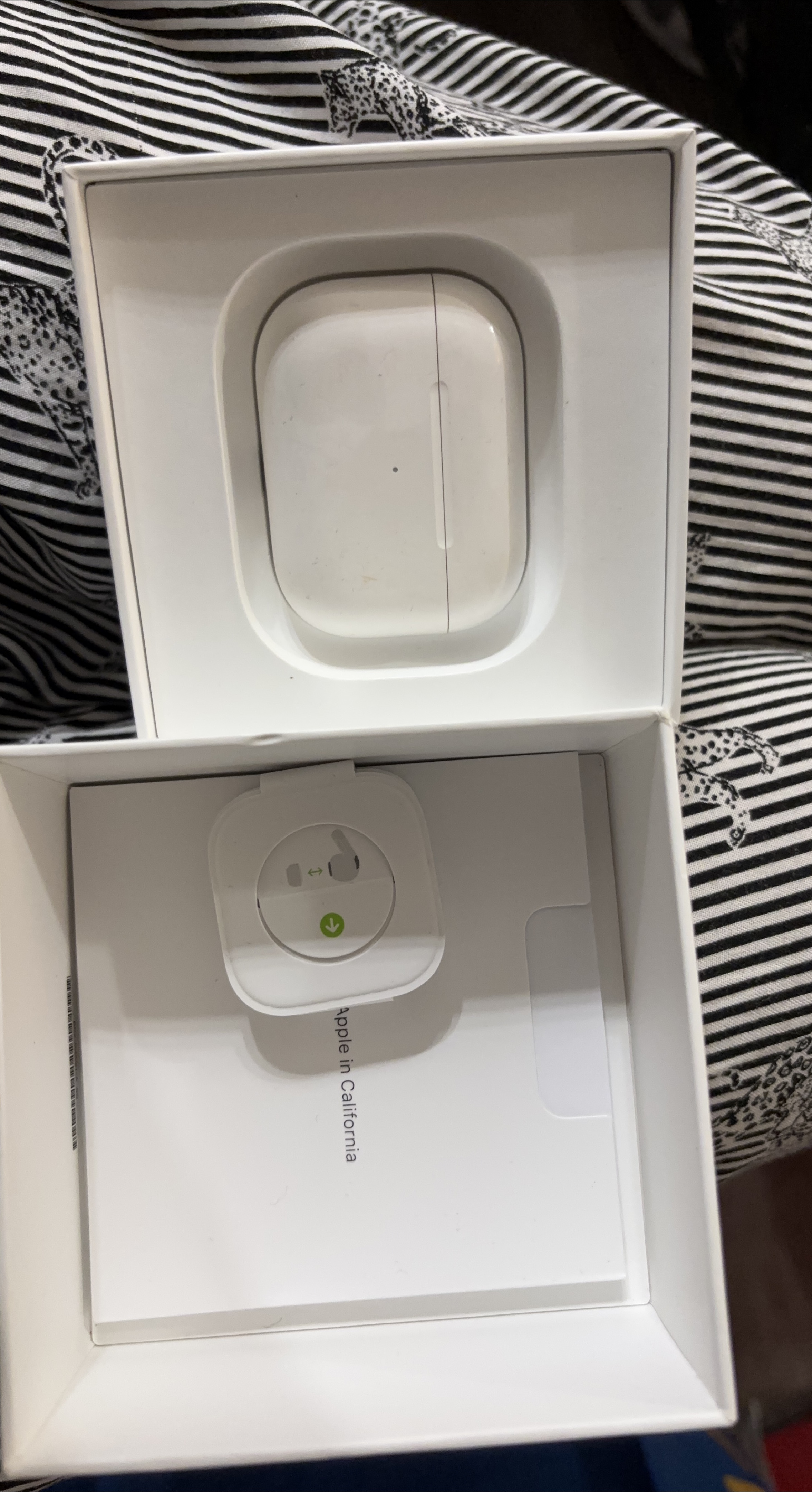 Apple AirPods Pro Case