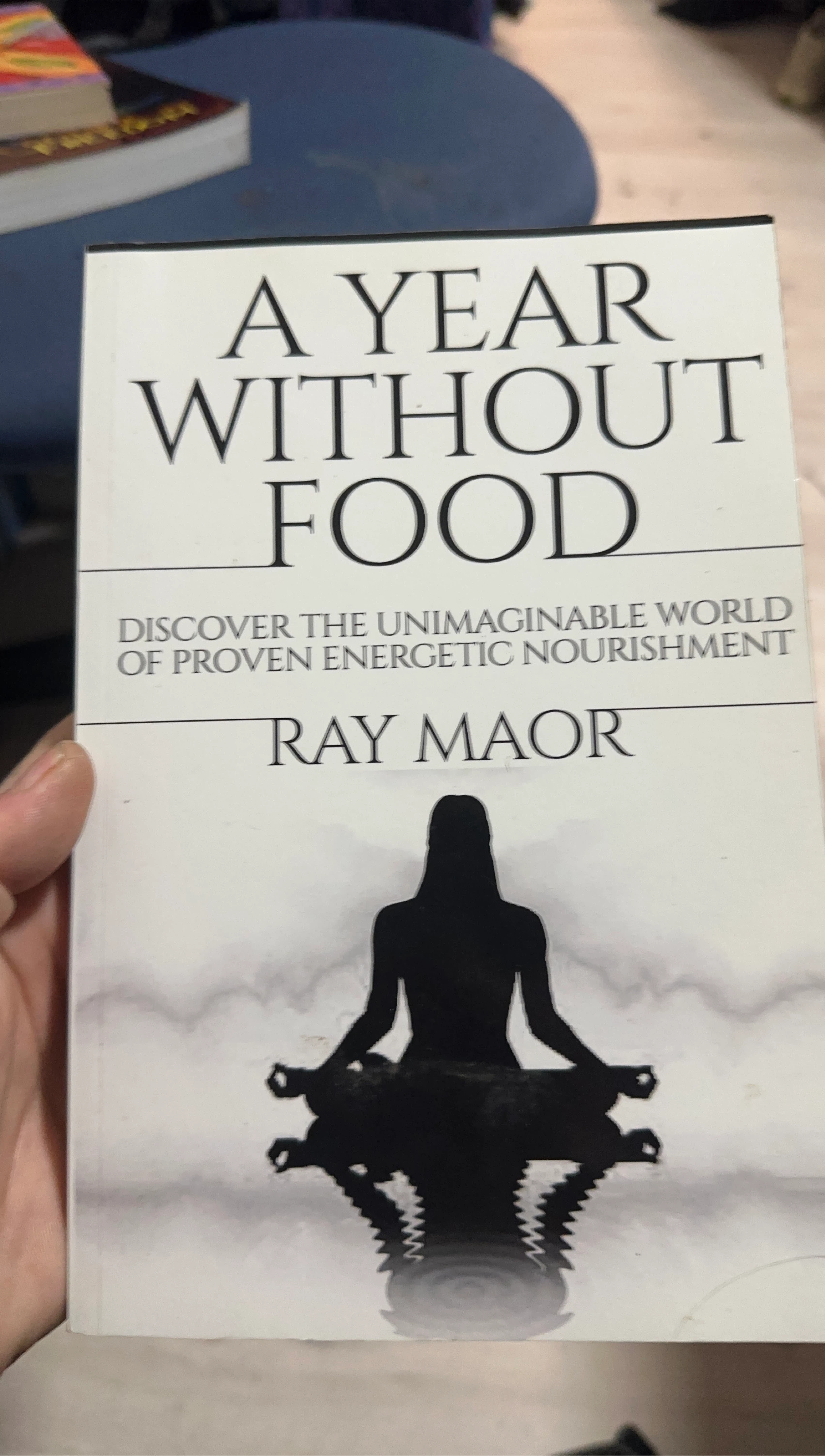 A Year Without Food by Ray Maor