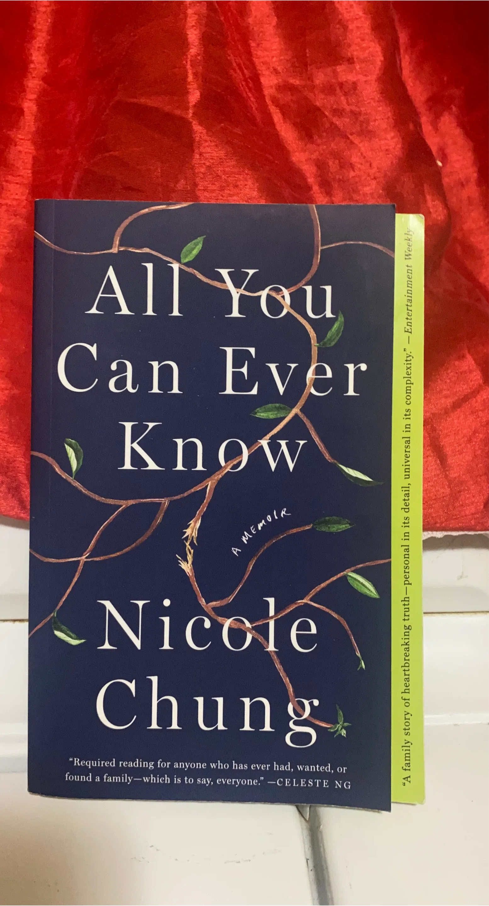 All You Can Ever Know by Nicole Chung Memoir