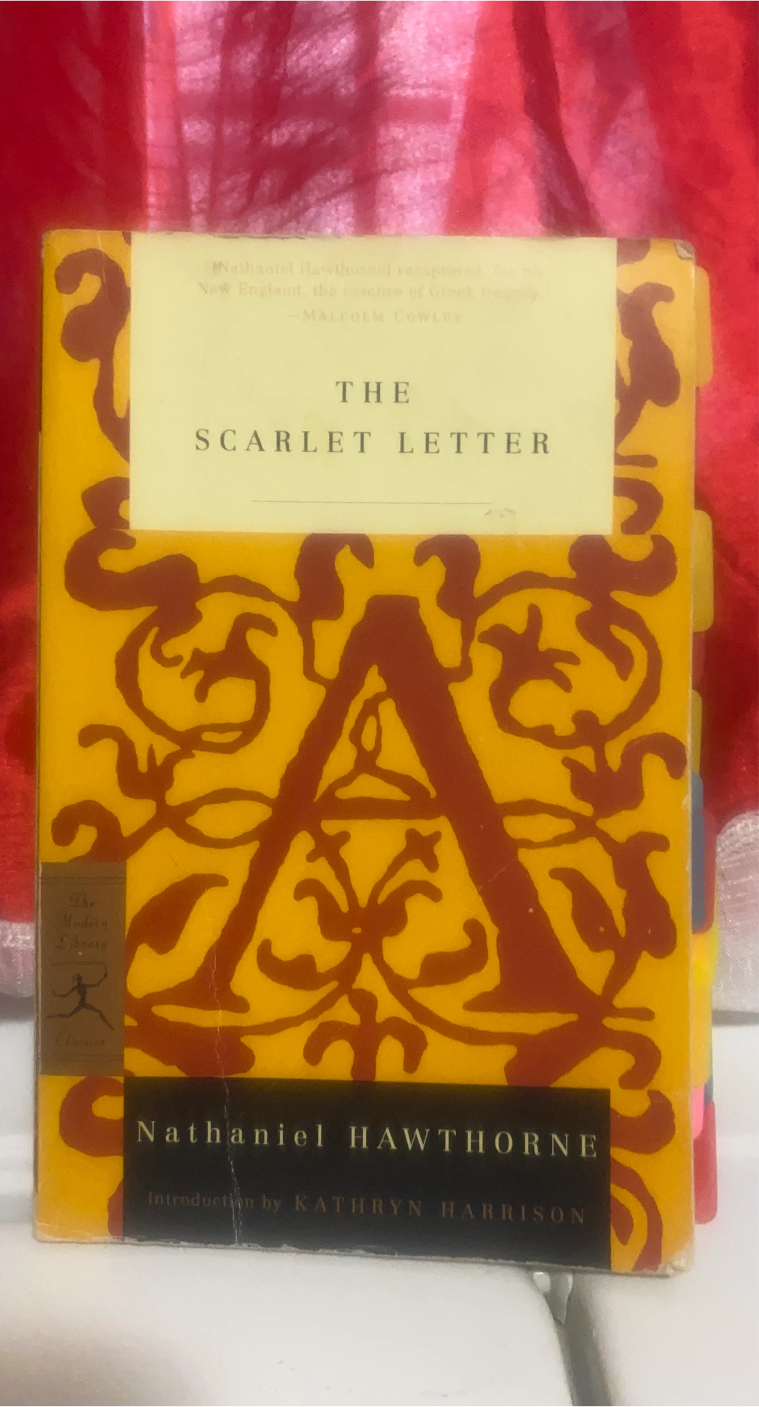 The Scarlet Letter by Nathaniel Hawthorne thumbnail