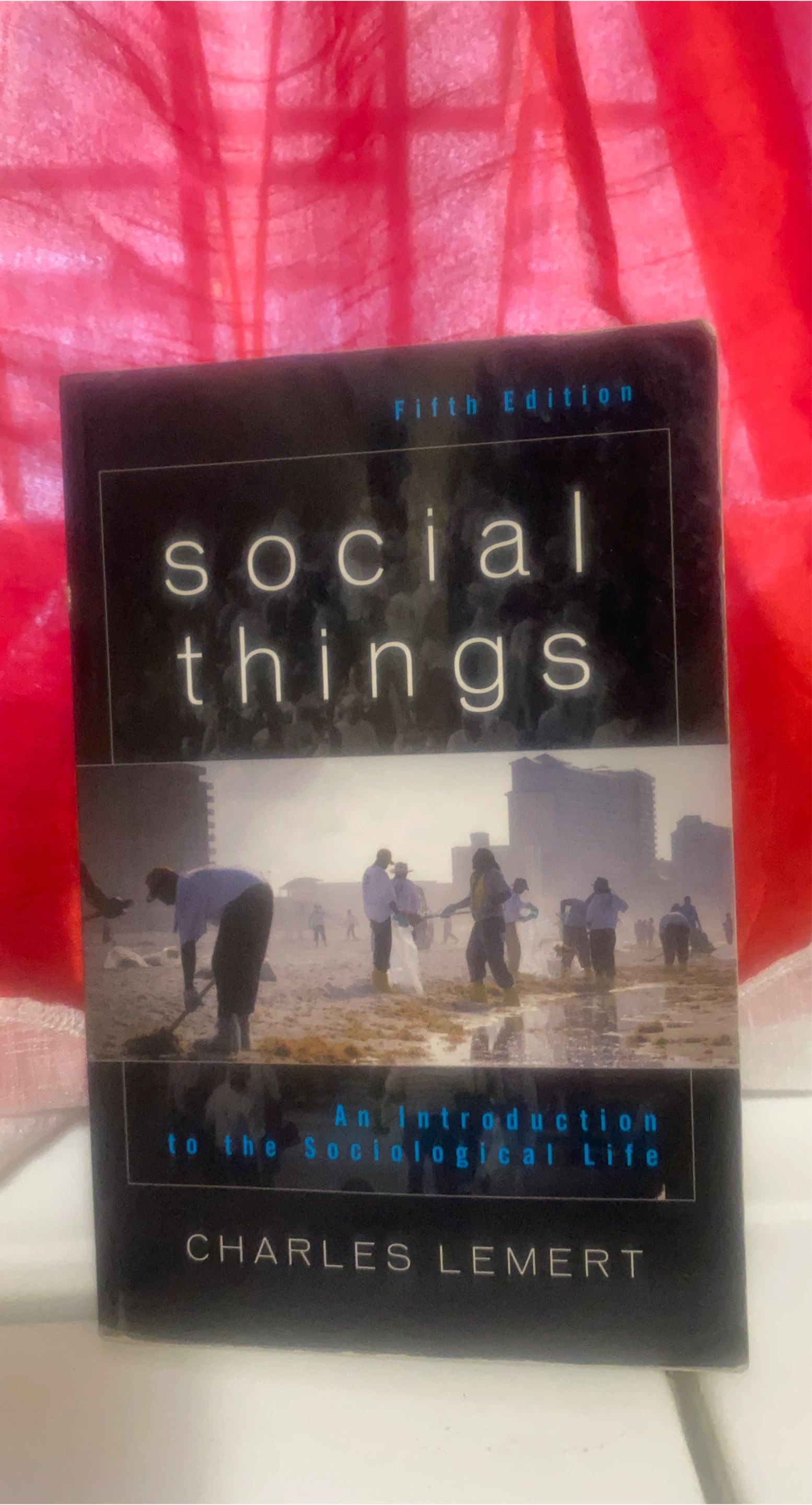 Social Things: An Introduction to the Sociological Life thumbnail