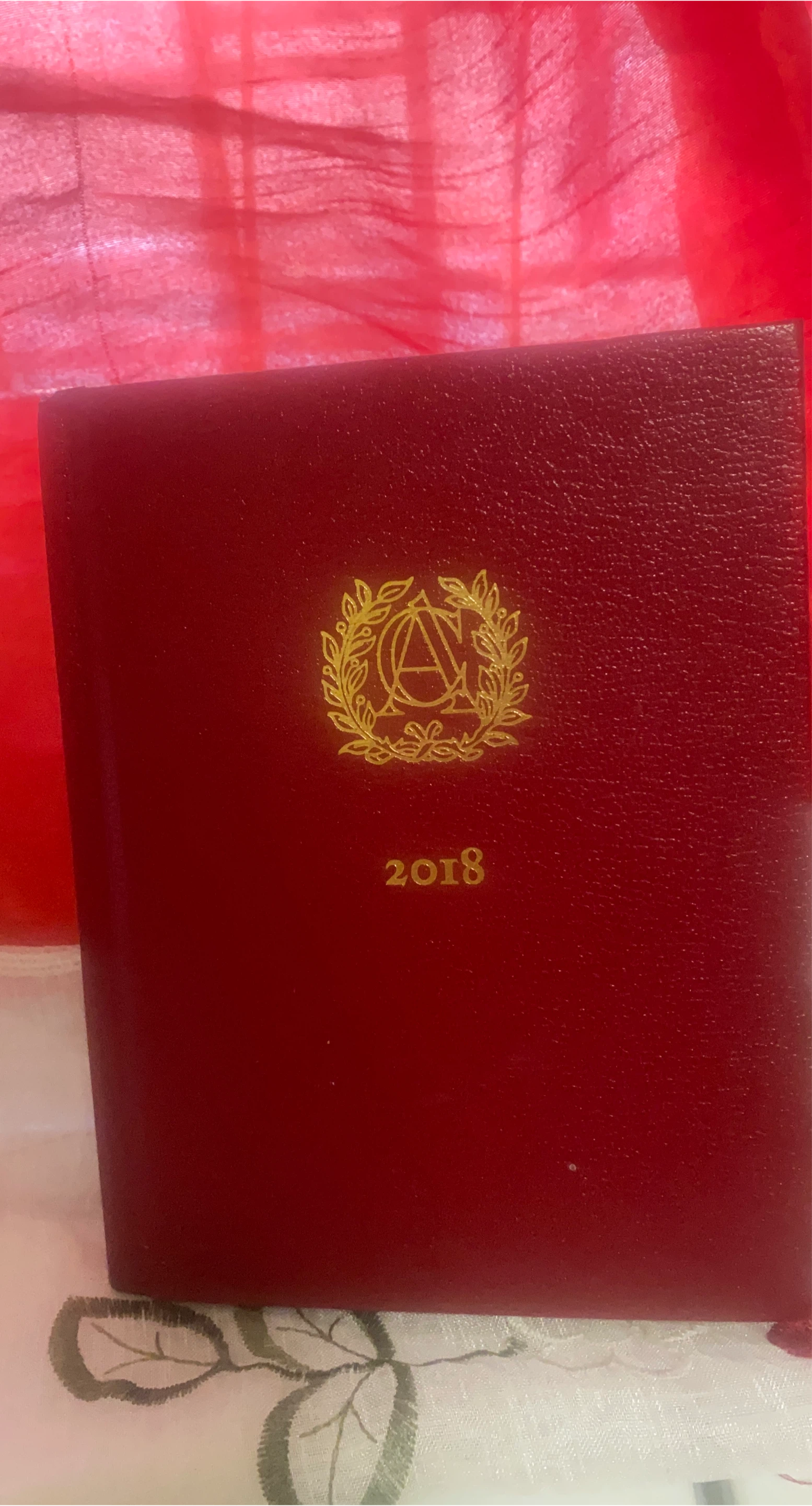Red Leather Journal - 2018 thumbnail