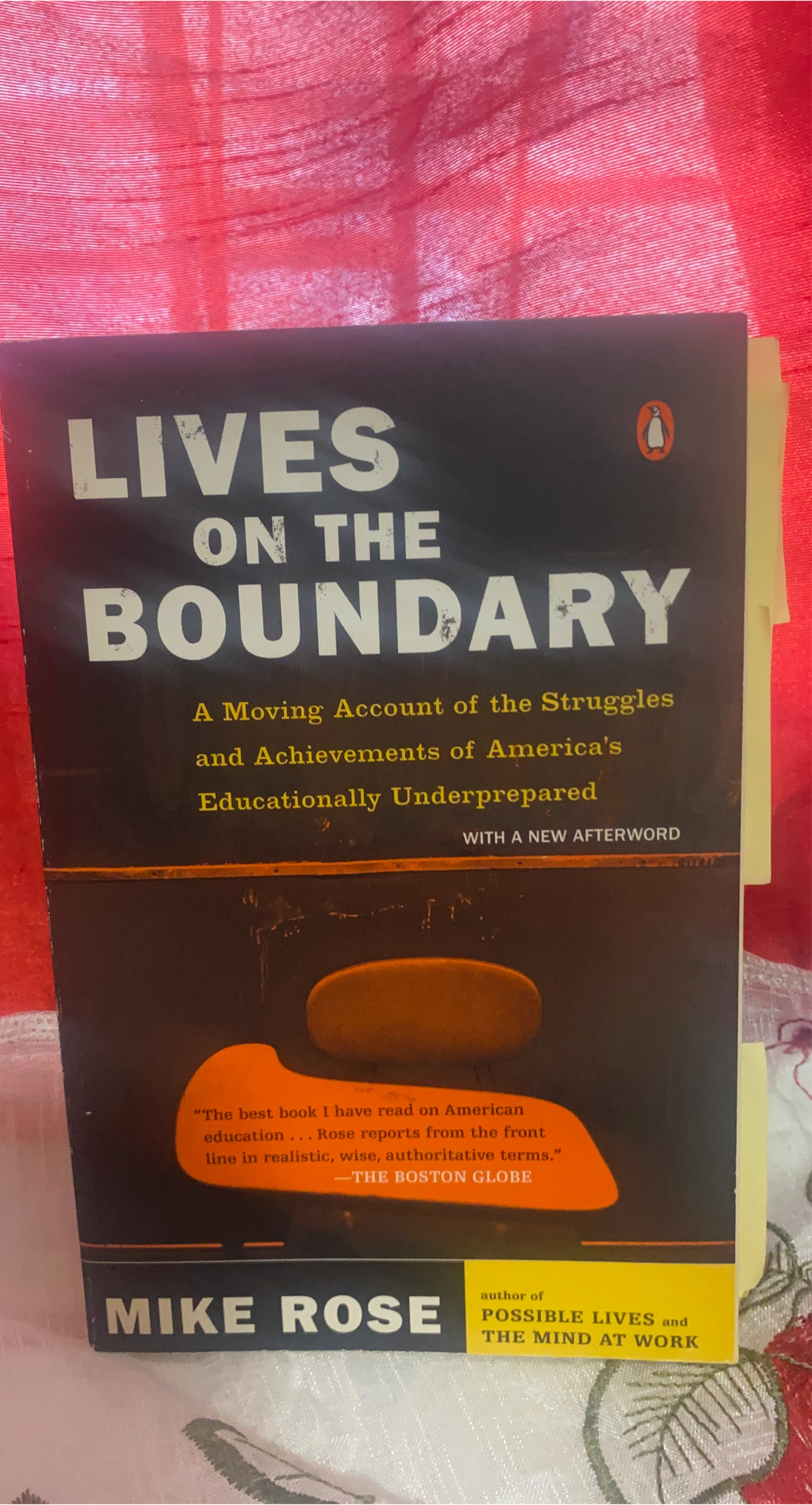 Lives on the Boundary by Mike Rose thumbnail