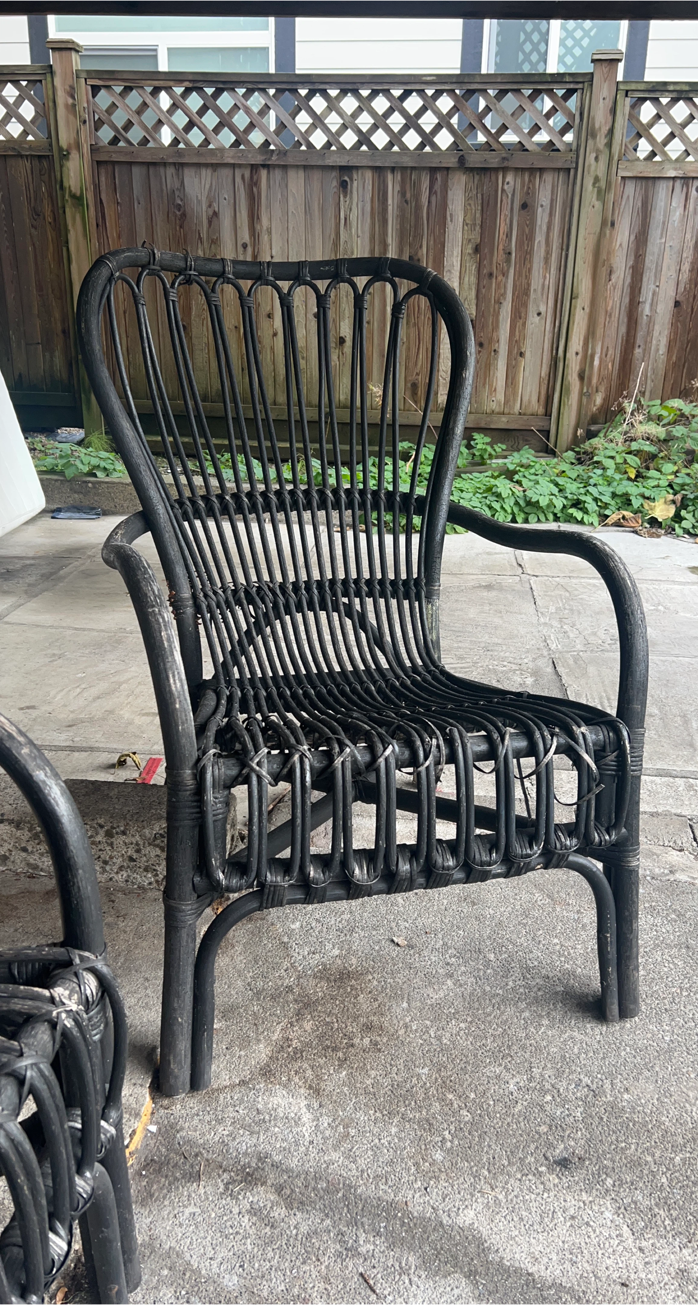 Two Black Rattan Armchair