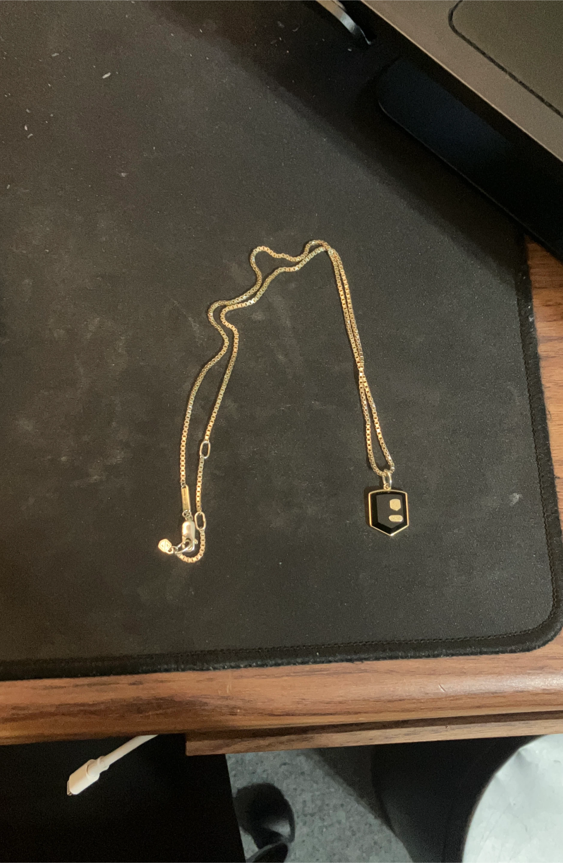 Fossil Gold Necklace with Black Pendant