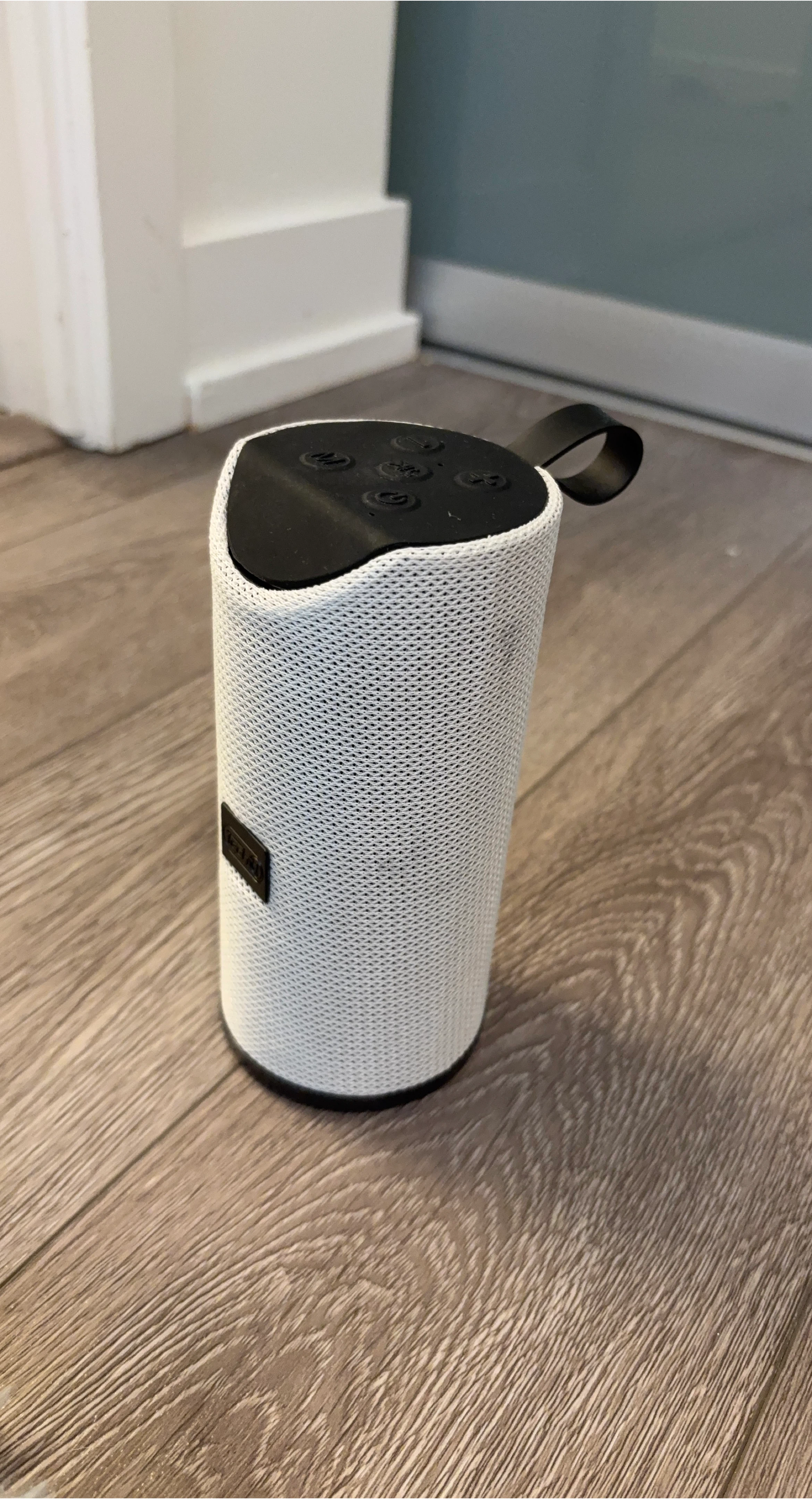 White Bluetooth Speaker