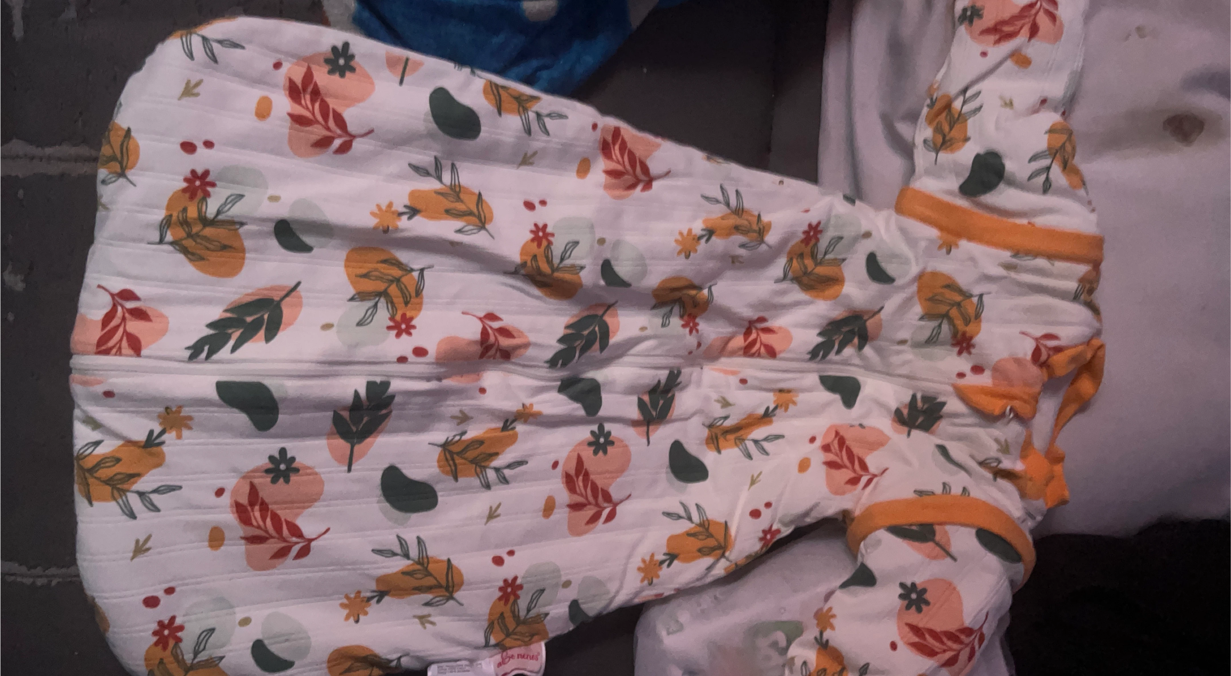 aden + anais Baby Sleeping Bag thumbnail