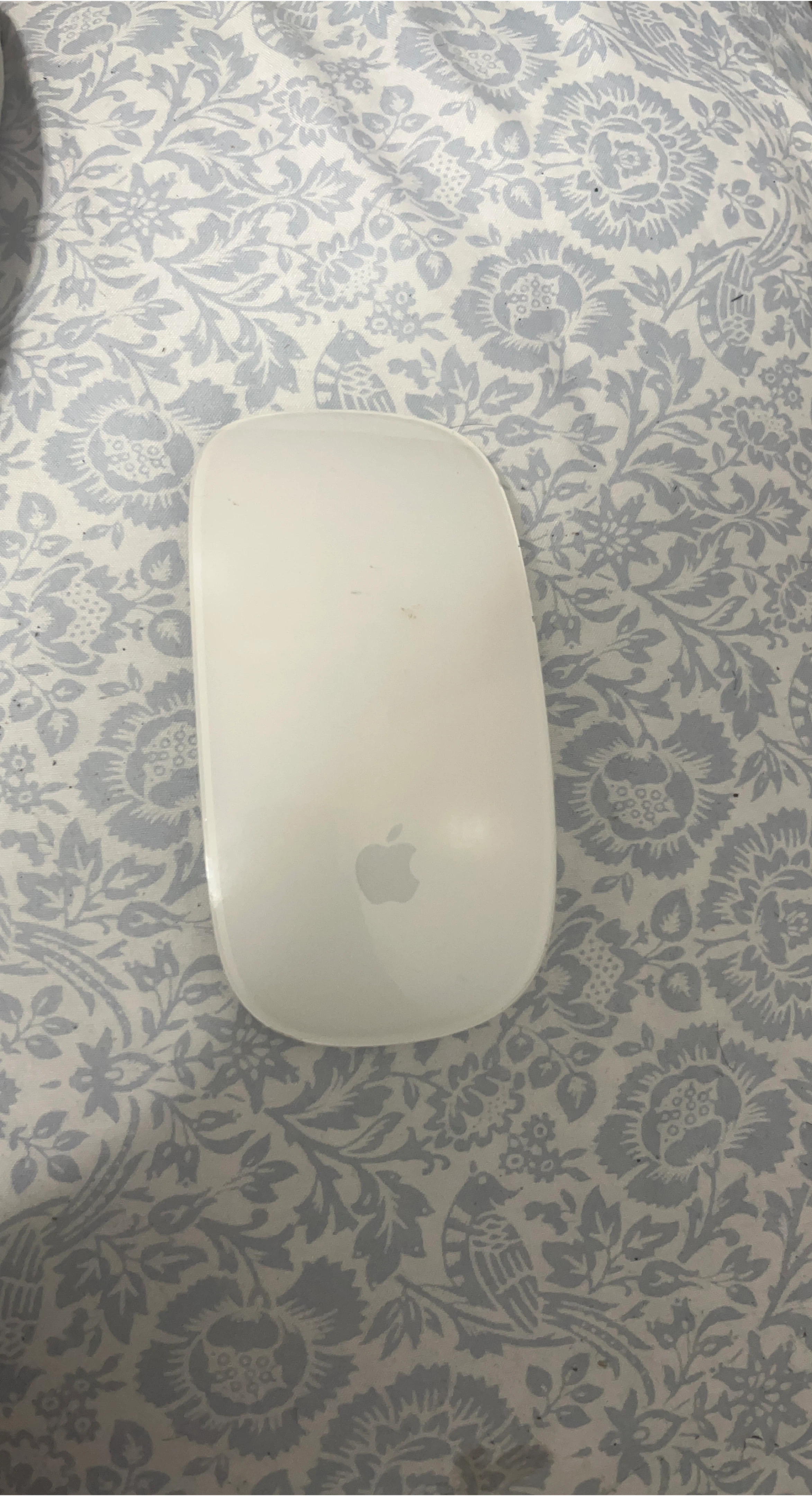 Apple Magic Mouse