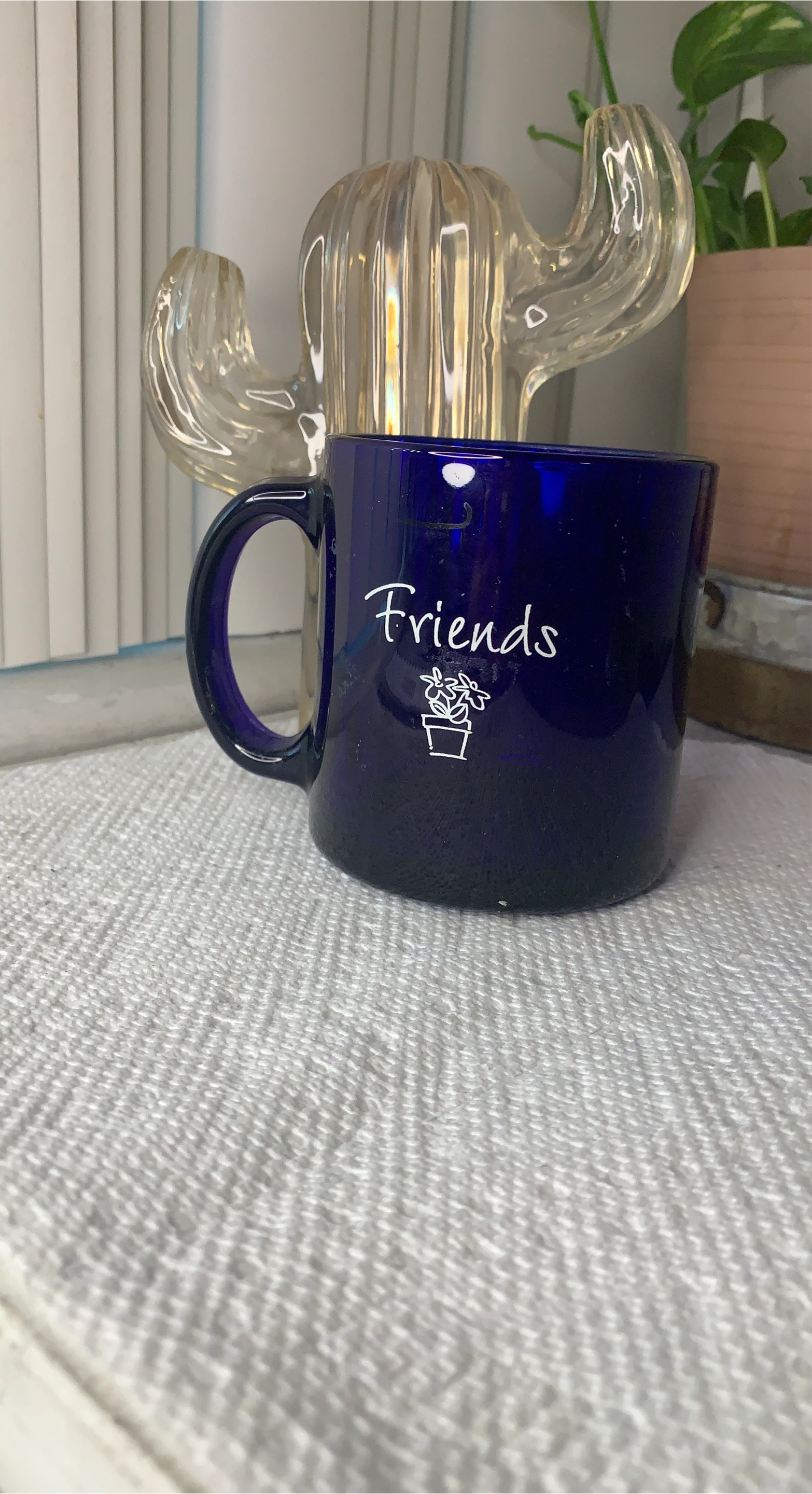 Blue Friends Mug image indicator(1)