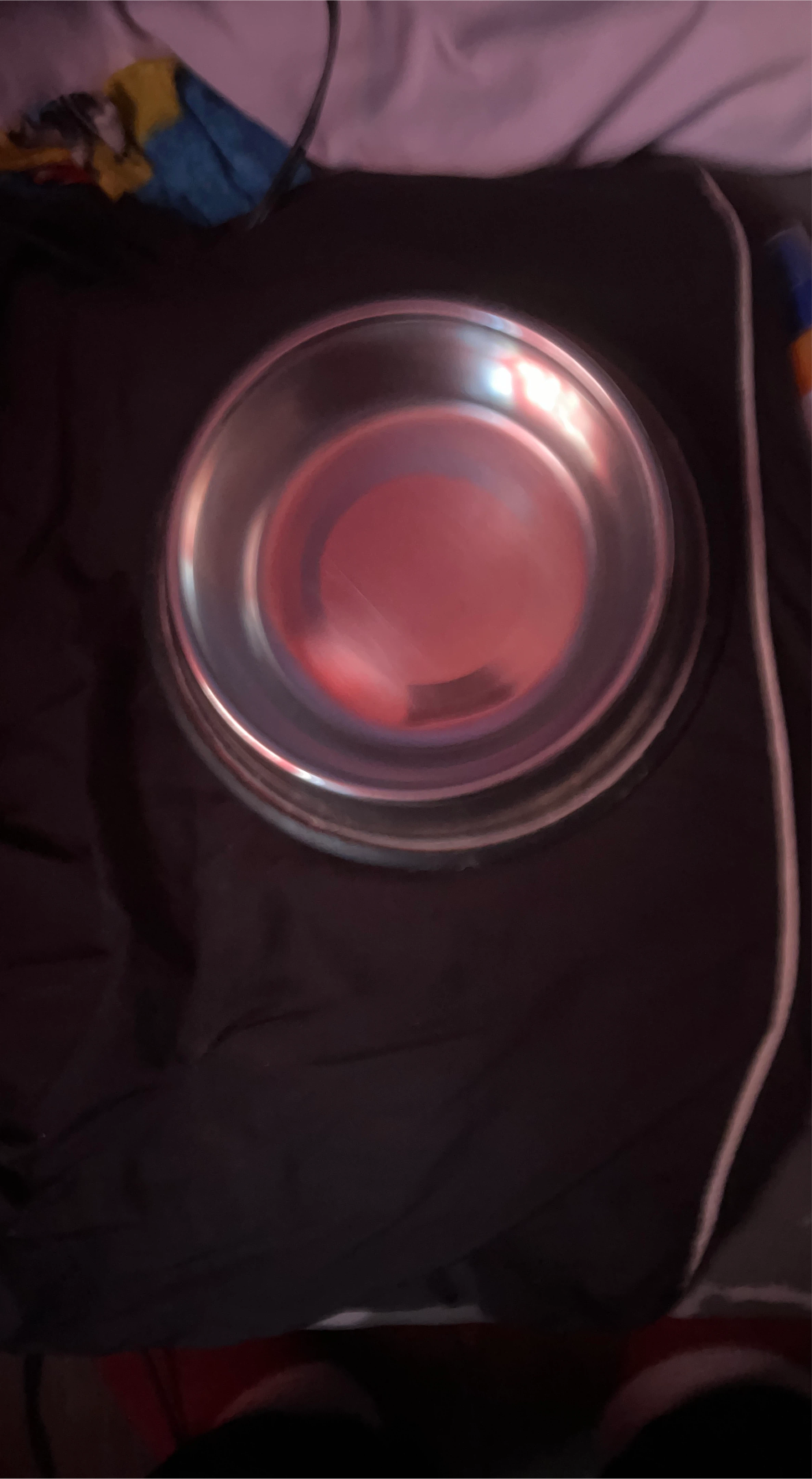 Stainless Steel Pet Bowl