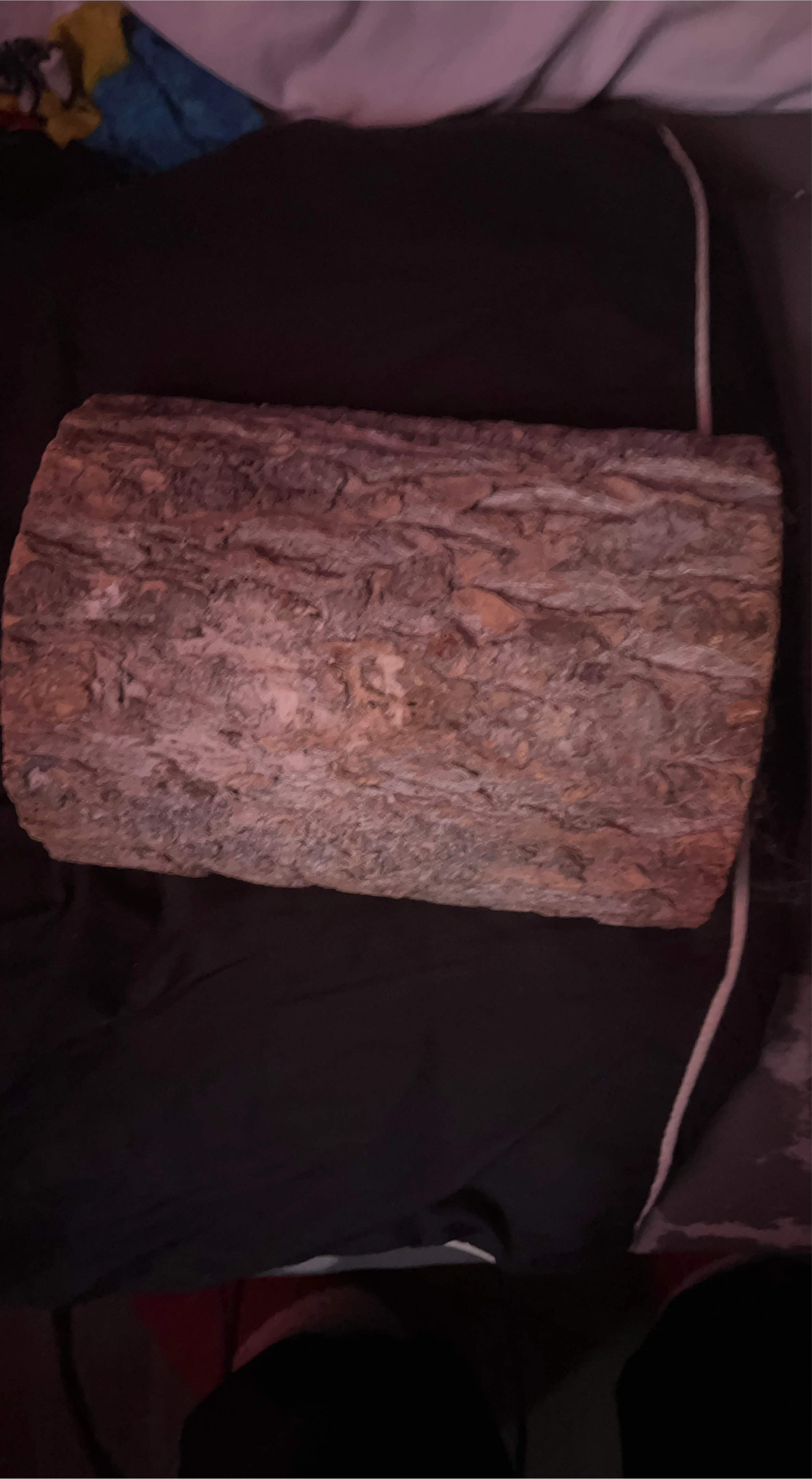 Reptile hideout image indicator(1)