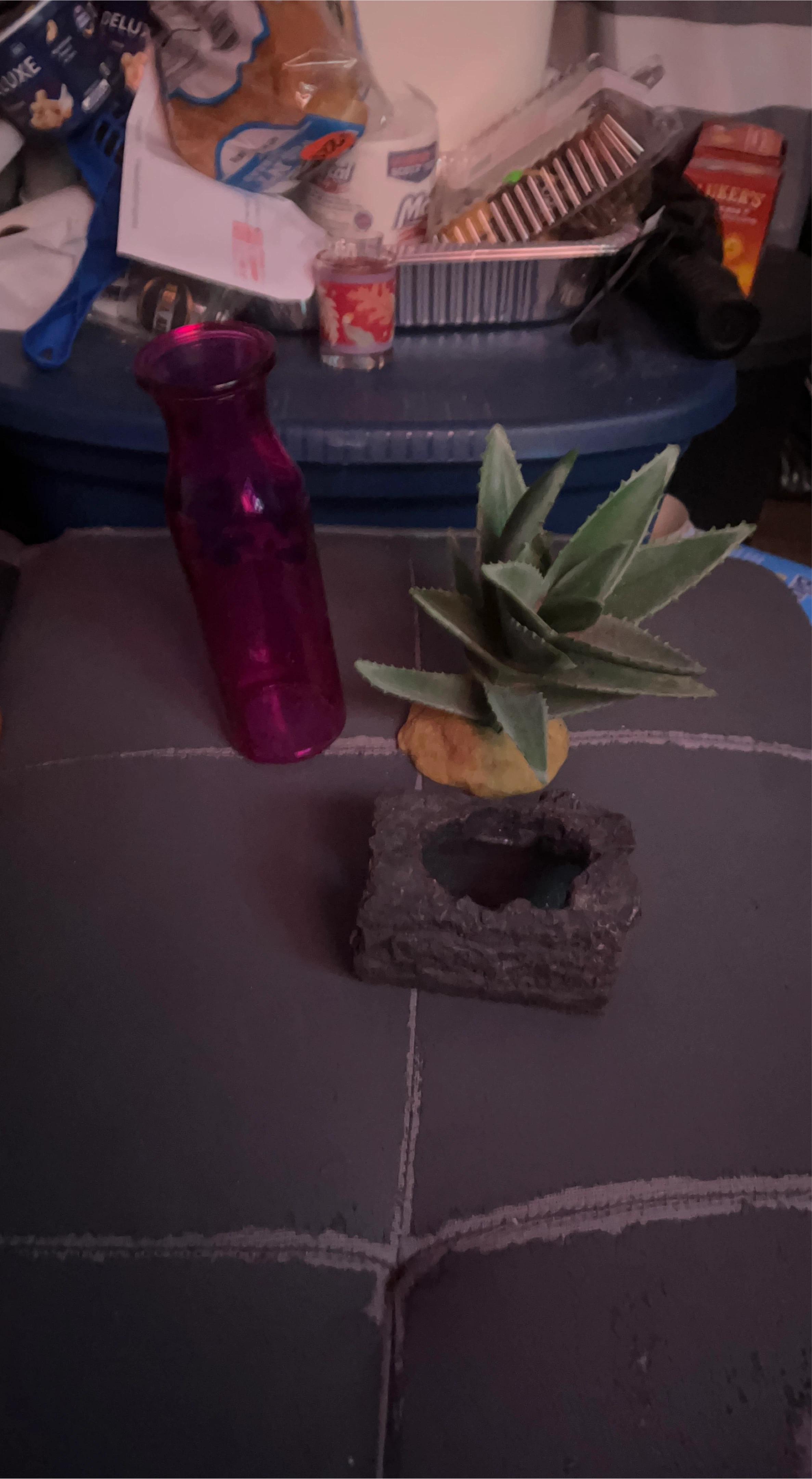 Home Decor: Vase, Plant, Hide