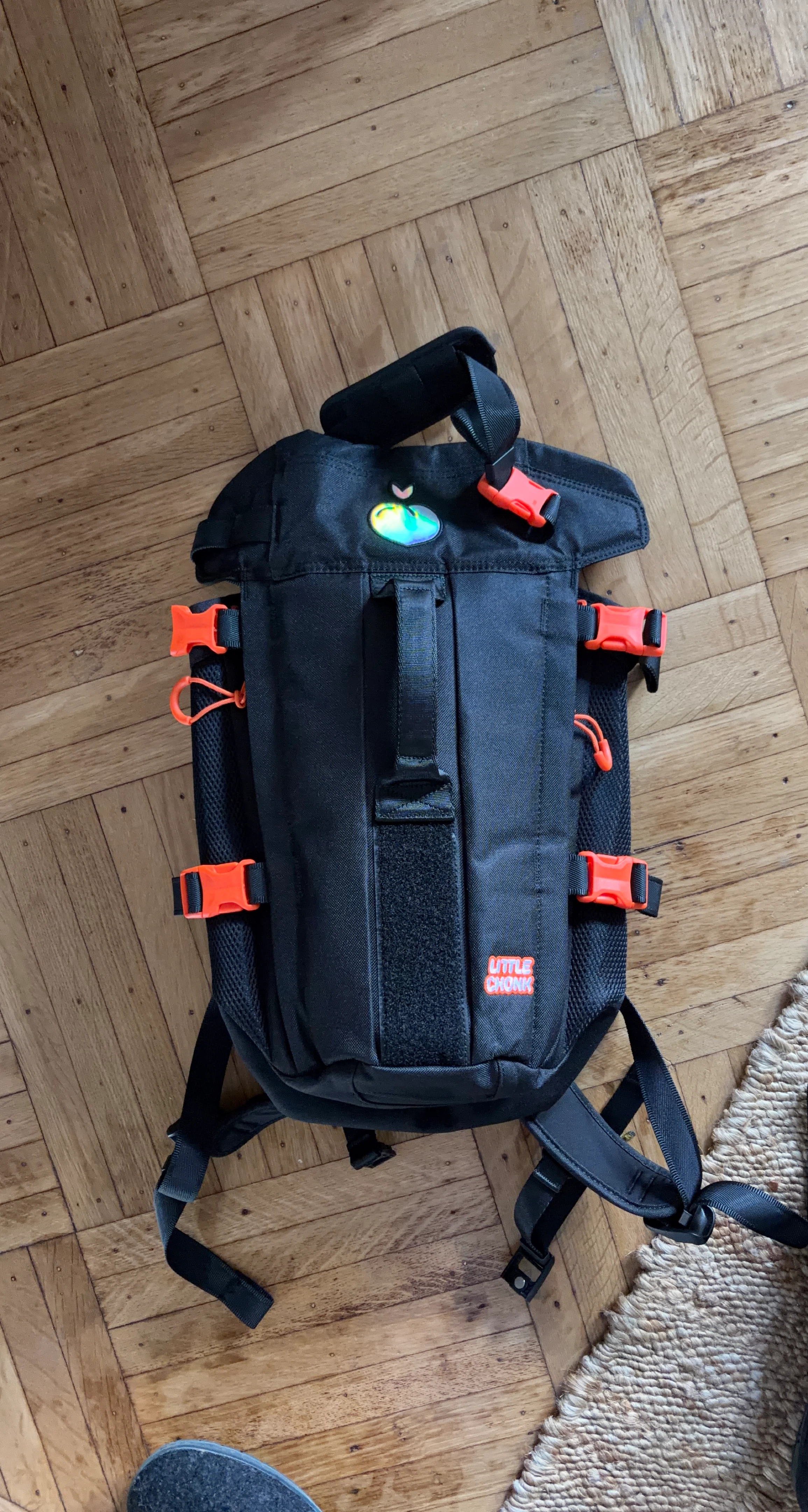 Little Chonk Pet Carrier Backpack image indicator(2)