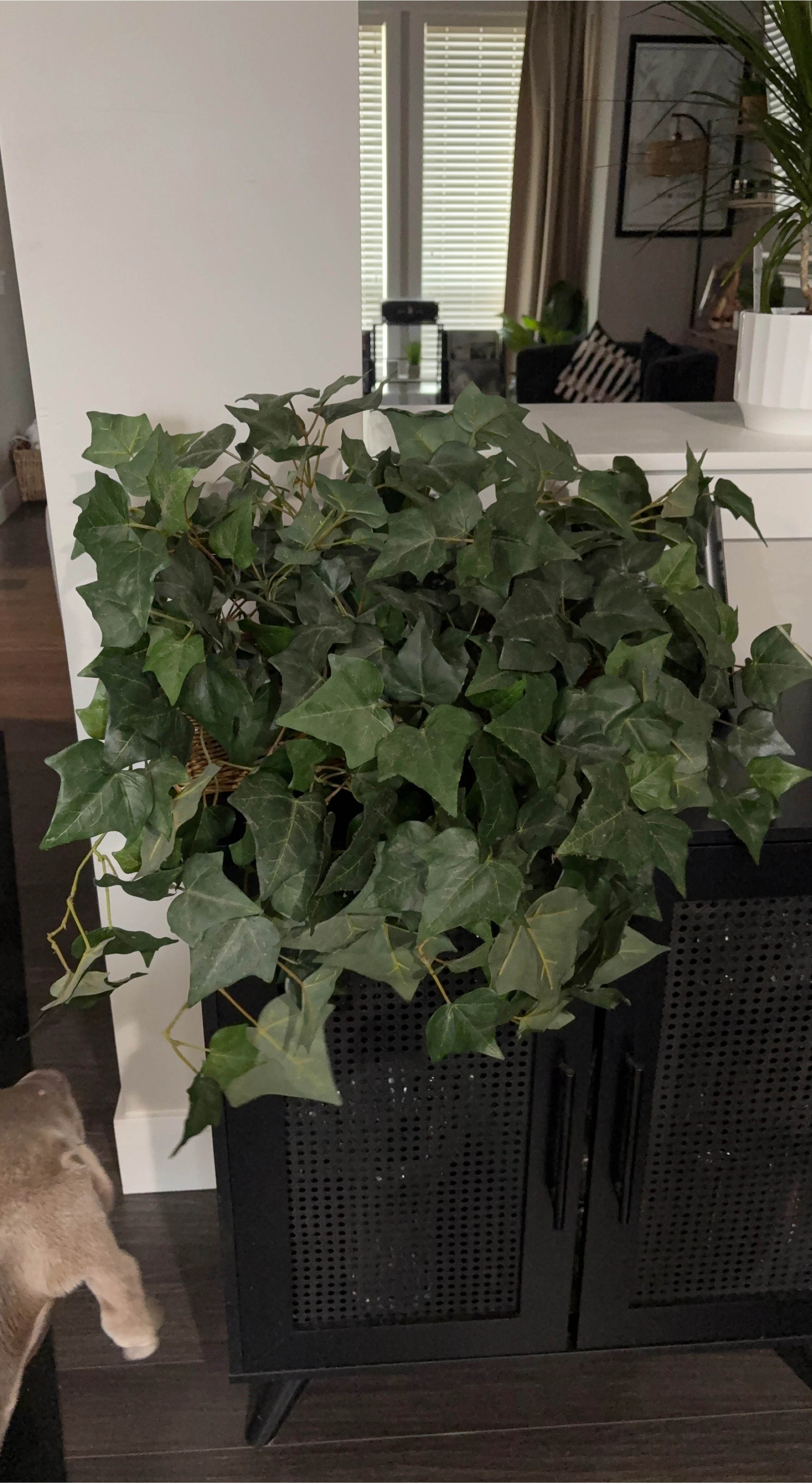 Artificial Ivy Plant in Basket