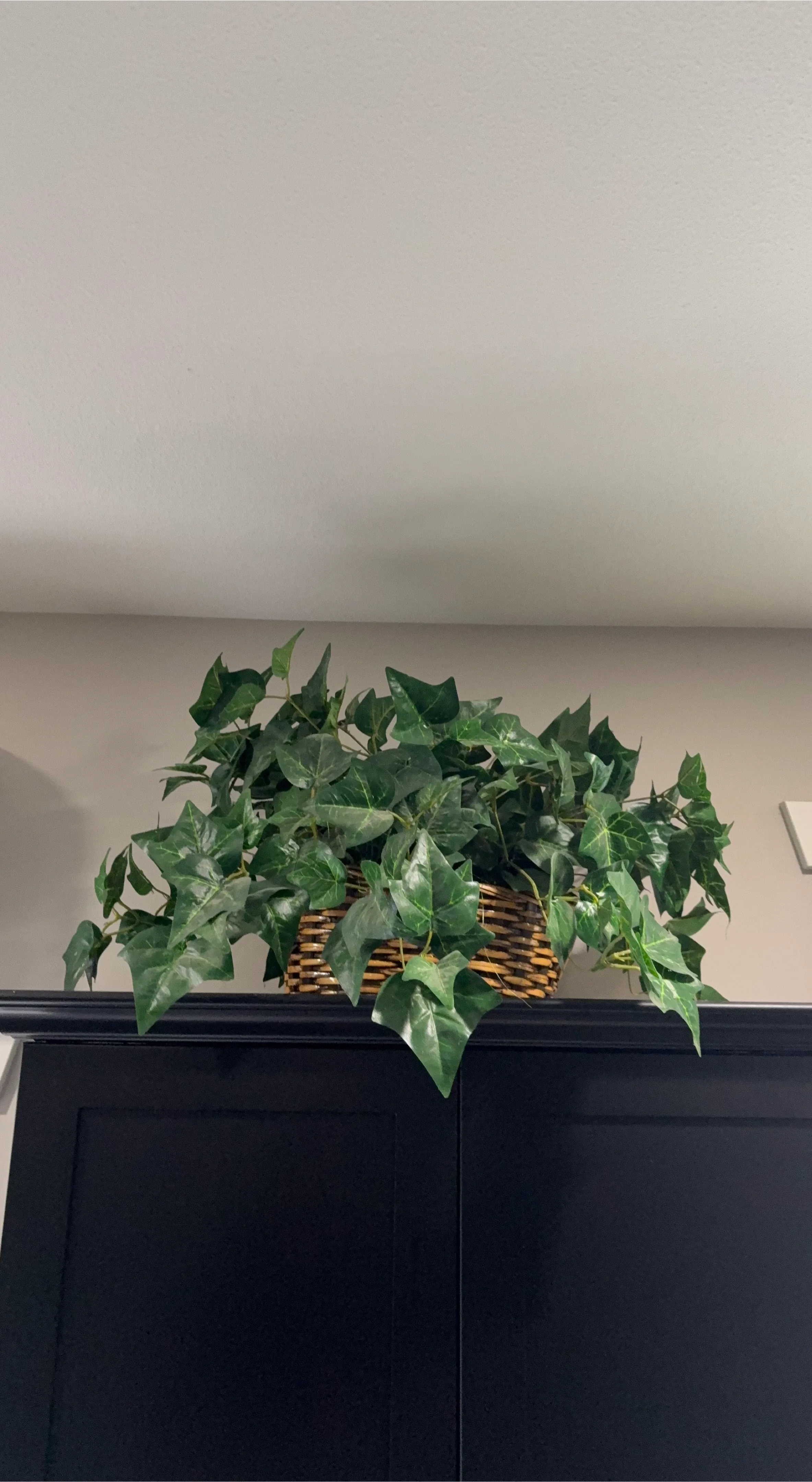 Artificial Ivy Plant in Wicker Basket