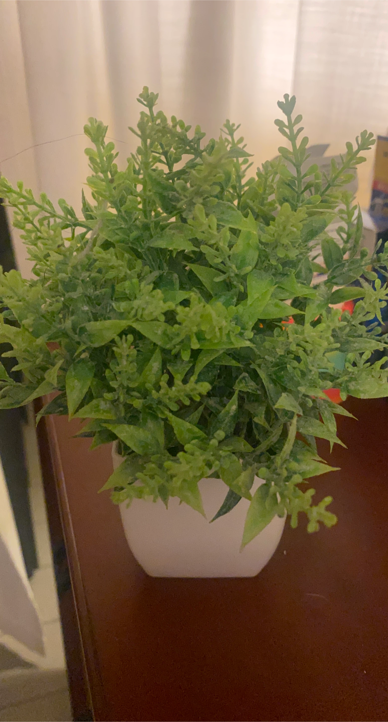 Artificial Plant in White Pot - Home Decor