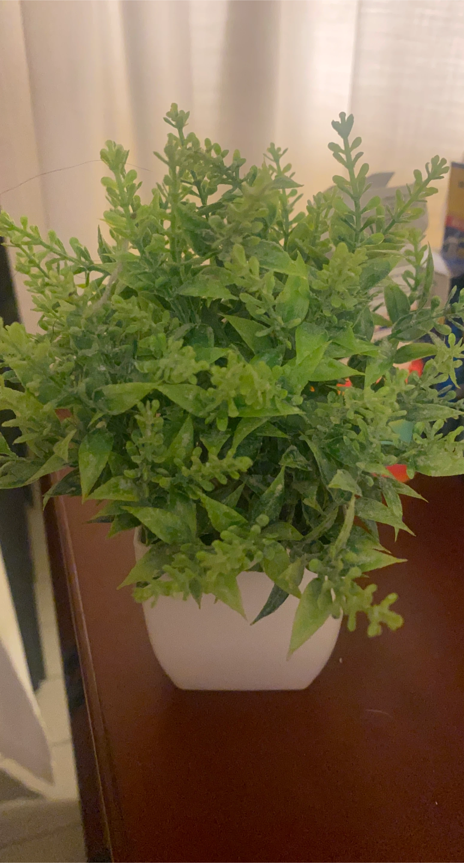 Artificial Plant in White Pot - Home Decor