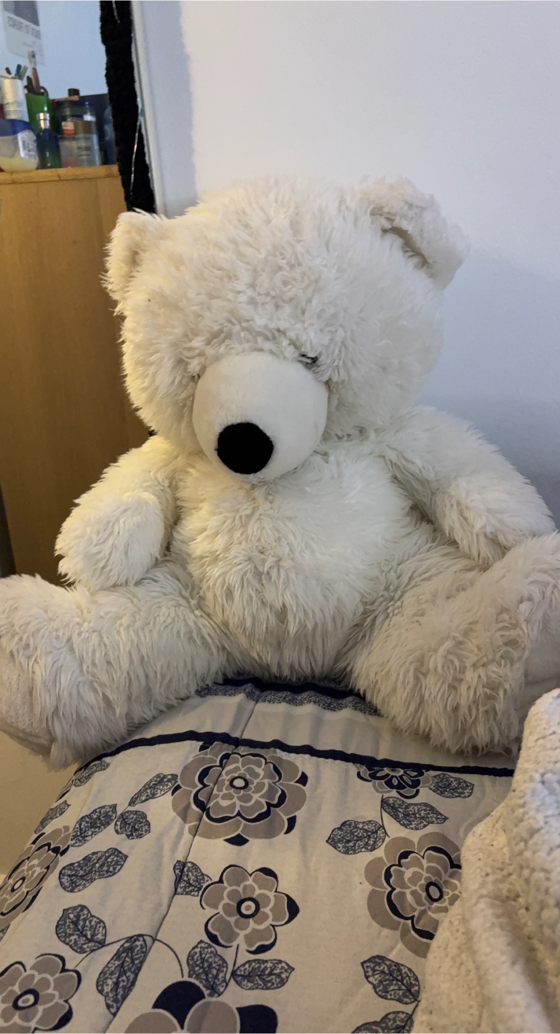 White Teddy Bear
