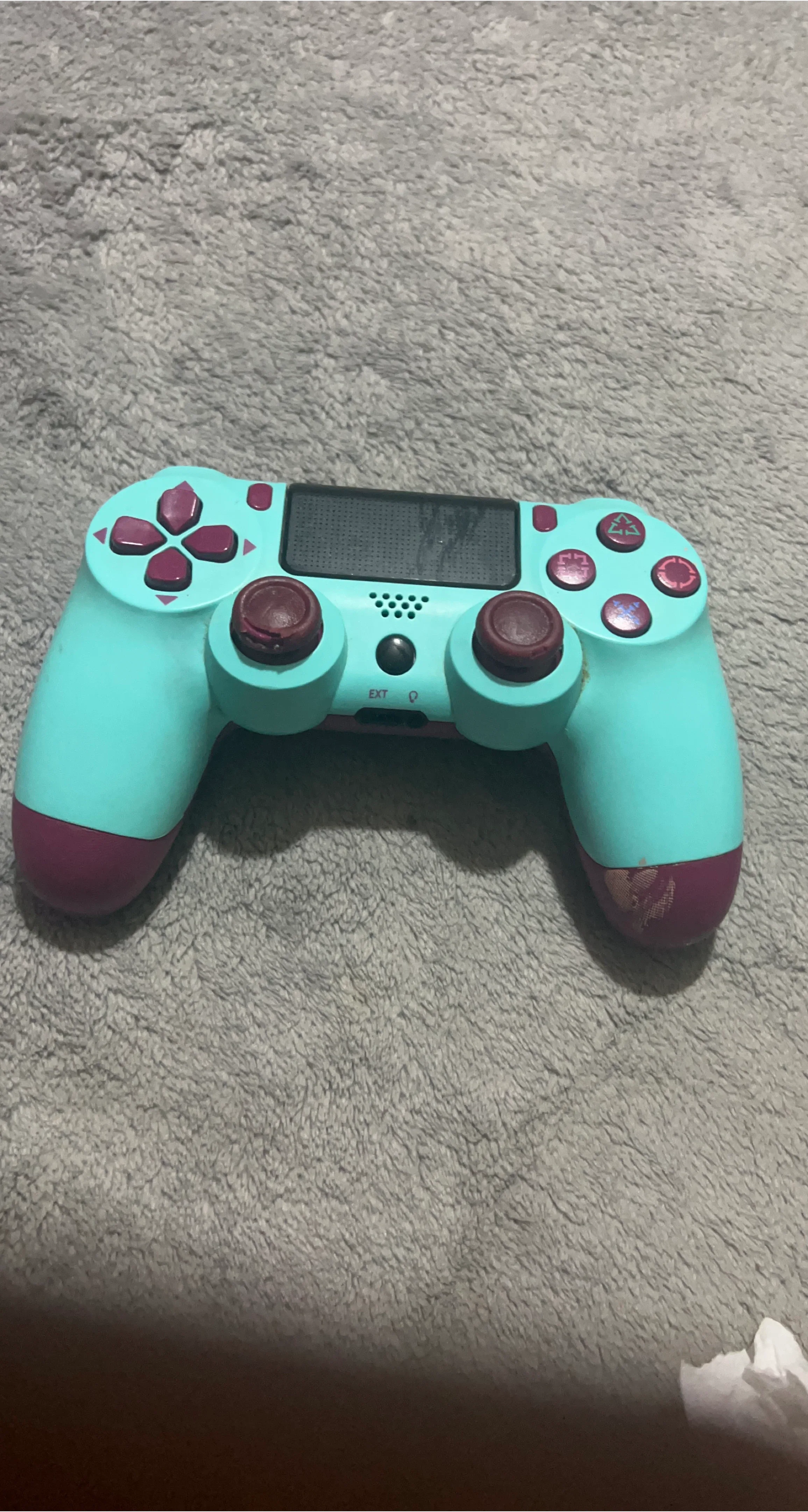 Custom PlayStation 4 DualShock Controller
