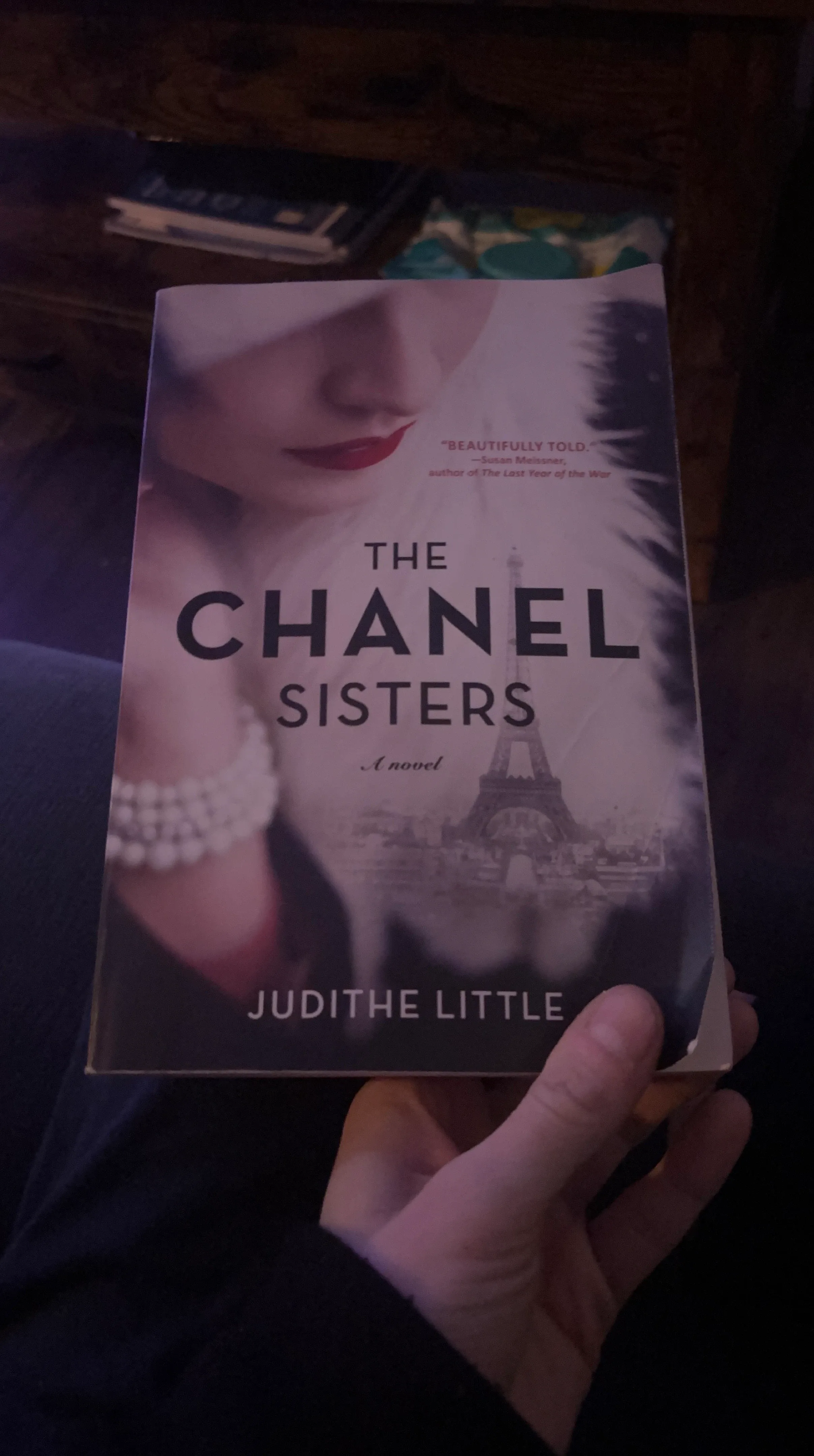 The Chanel Sisters Novel by Judithe Little