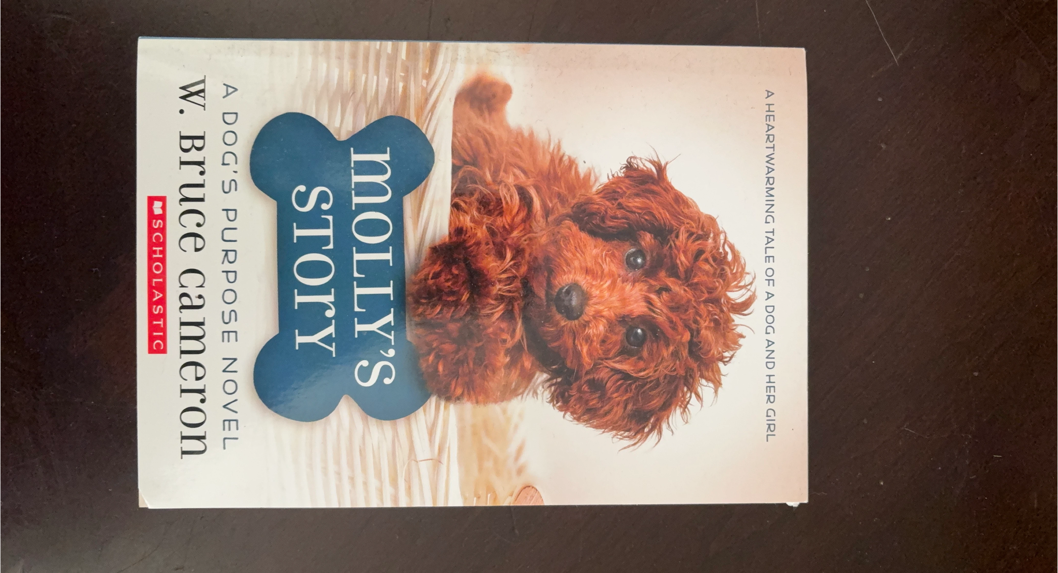 Molly's Story by W. Bruce Cameron