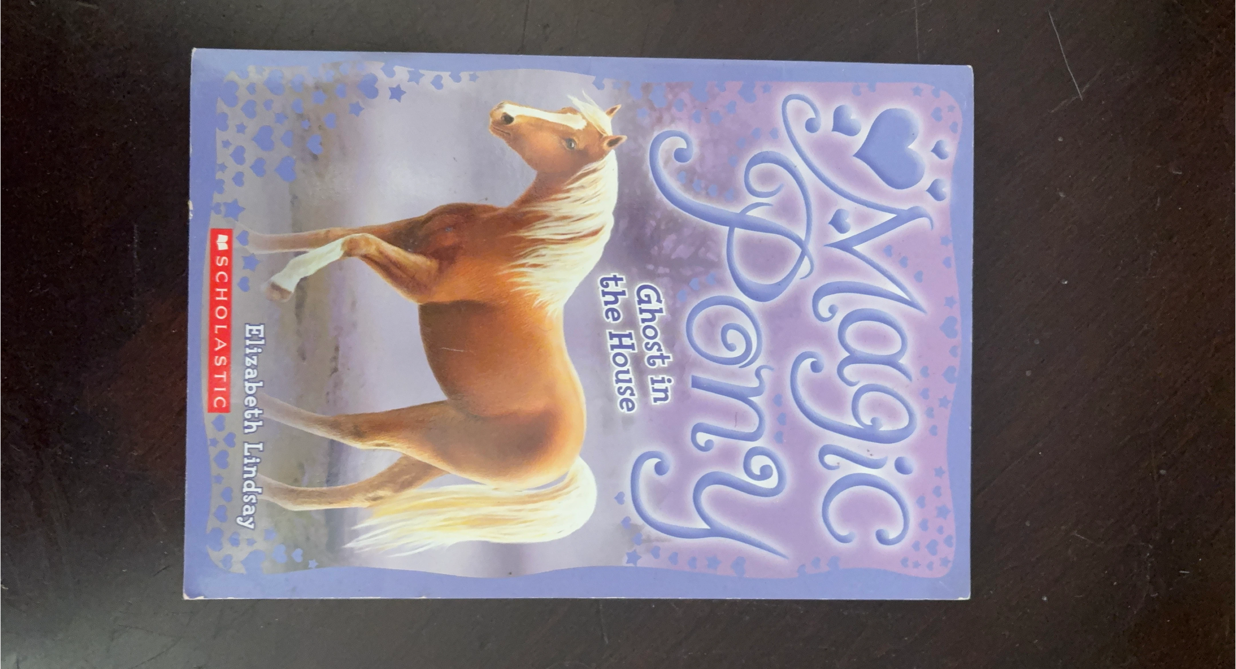 Magic Pony: Ghost in the House by Elizabeth Lindsay