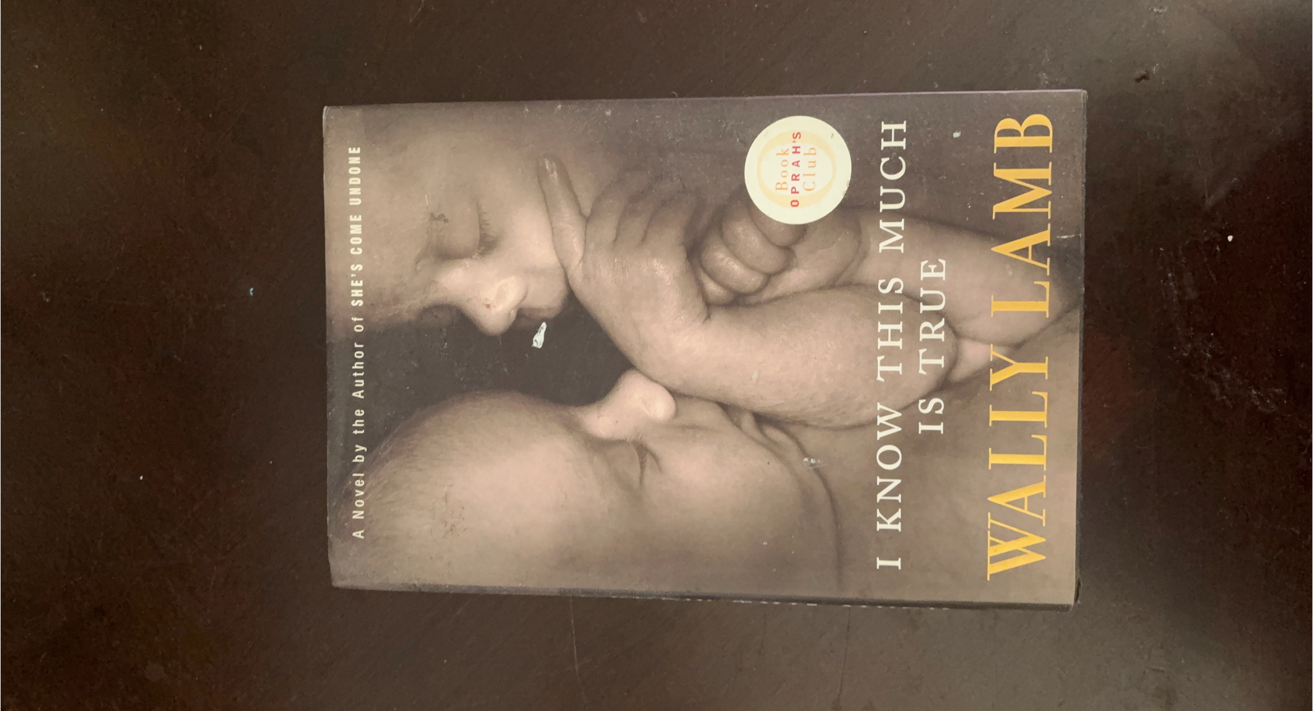 I Know This Much Is True by Wally Lamb