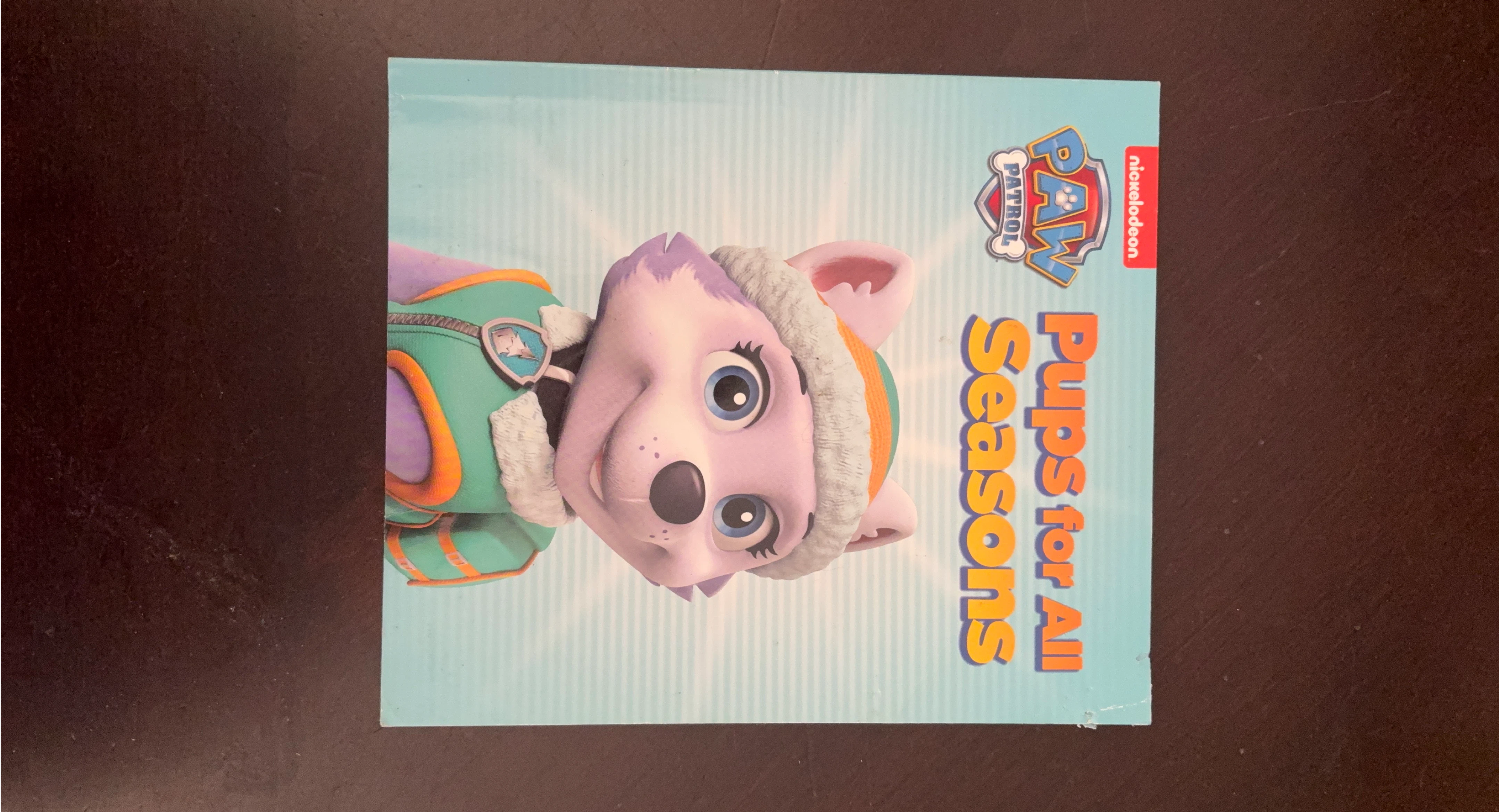 Paw Patrol Pups for All Seasons Book