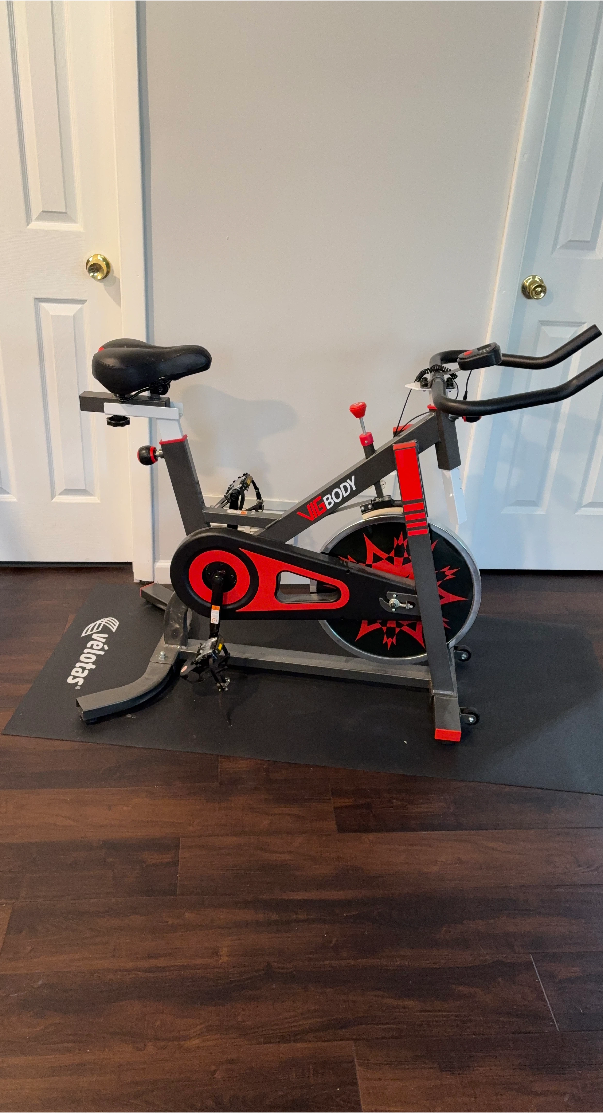 VIGBODY Exercise Bike