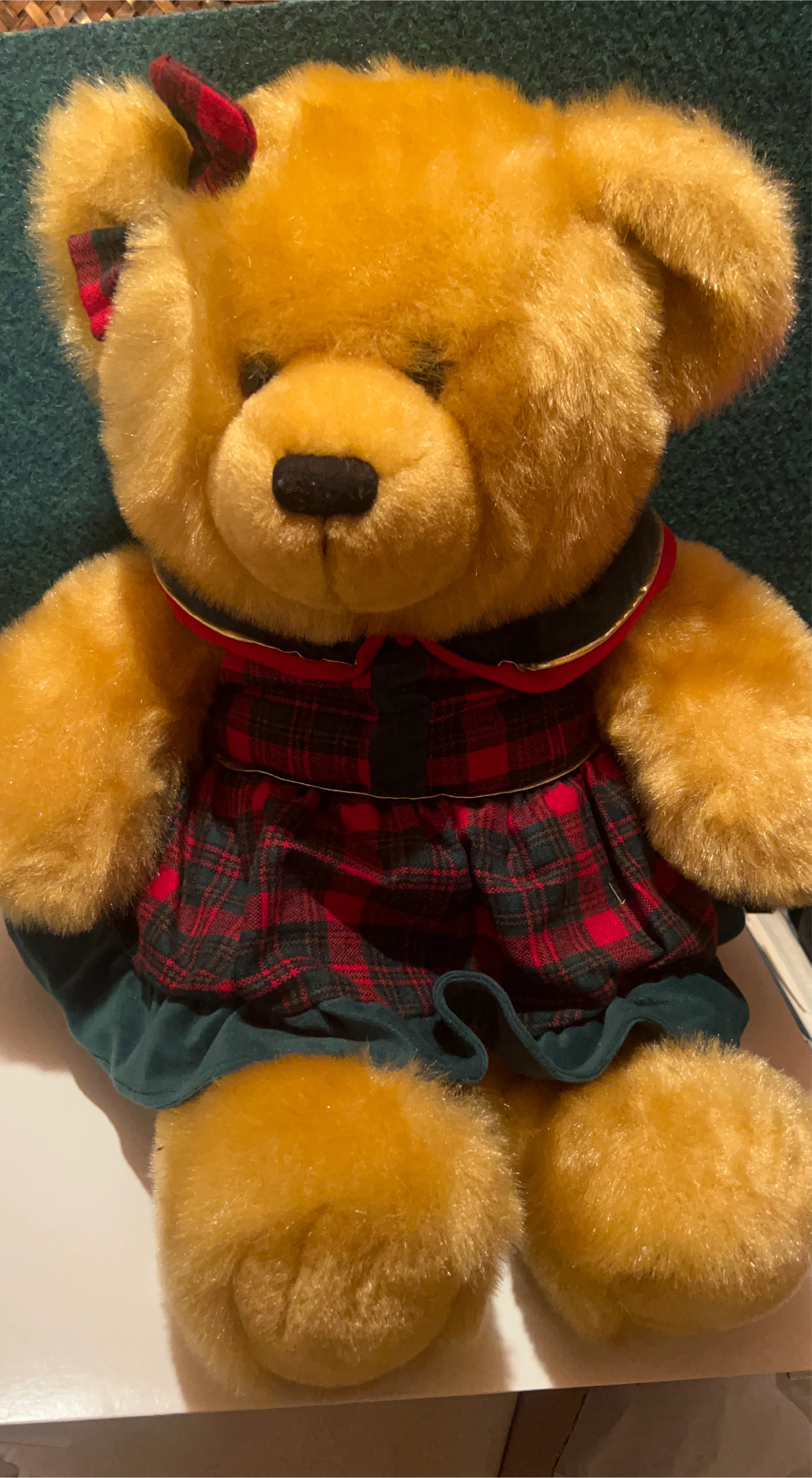 Cute Bear in plaid dress thumbnail