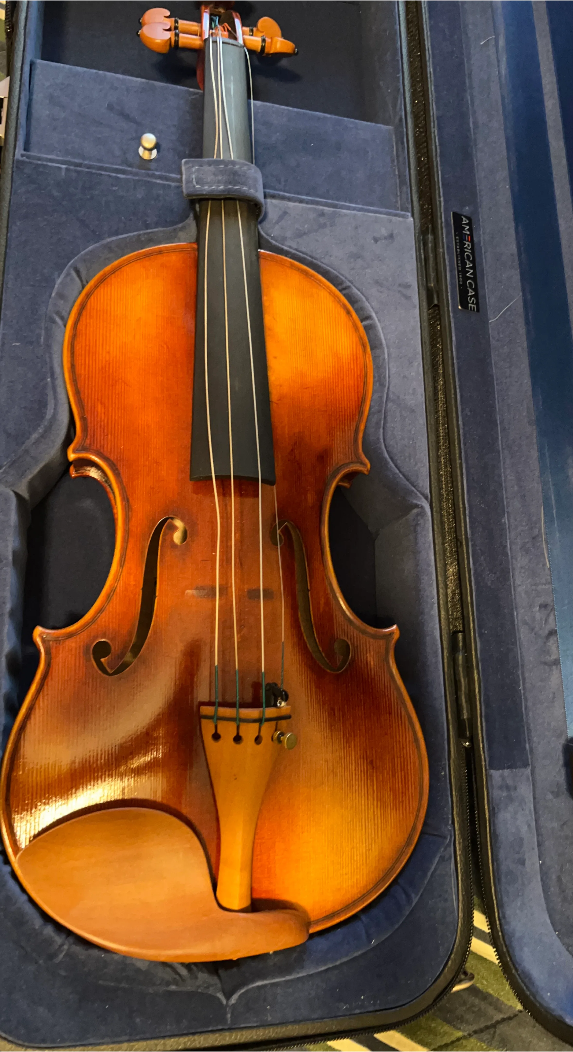 Violin in American Case